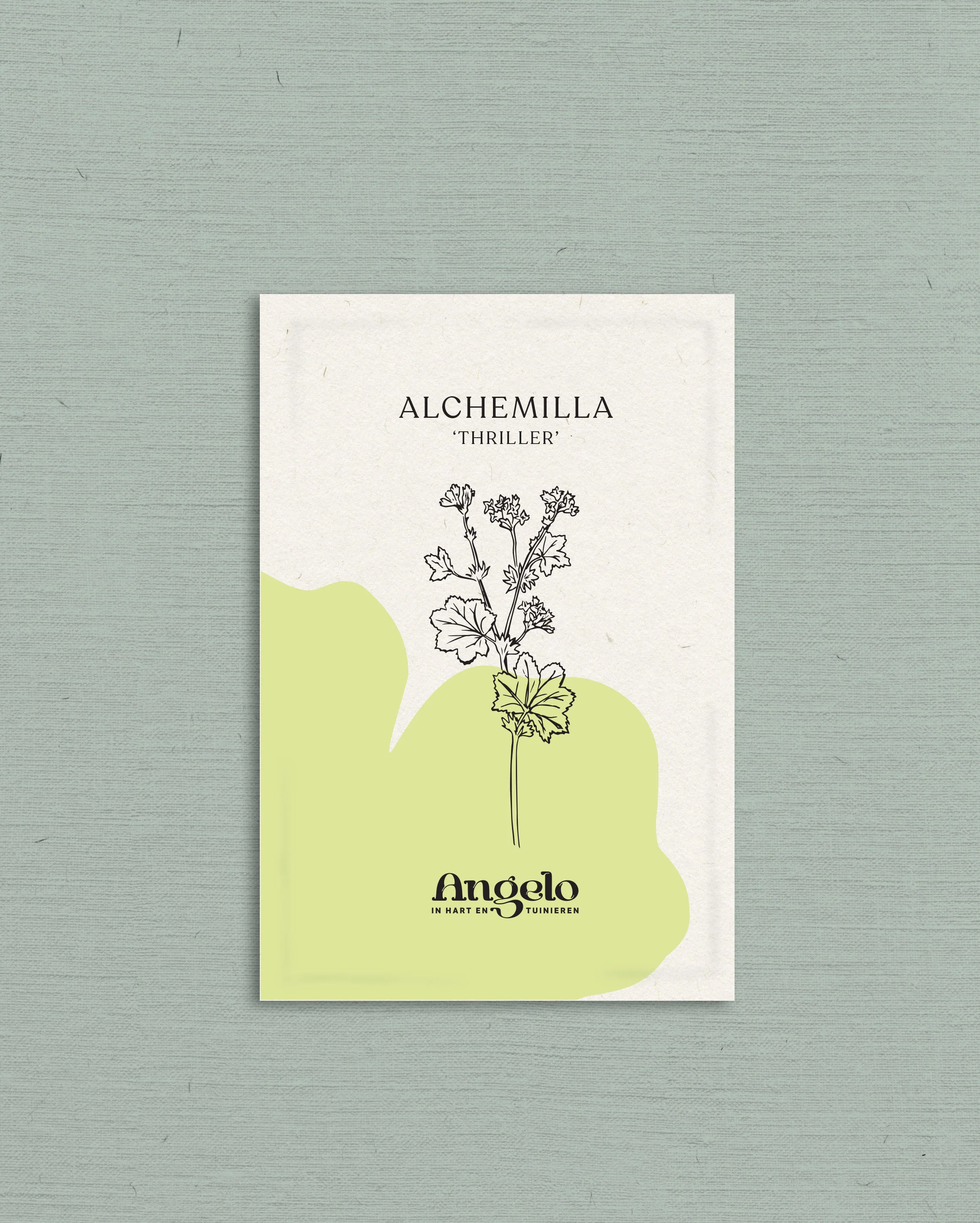 Miniatuur 2