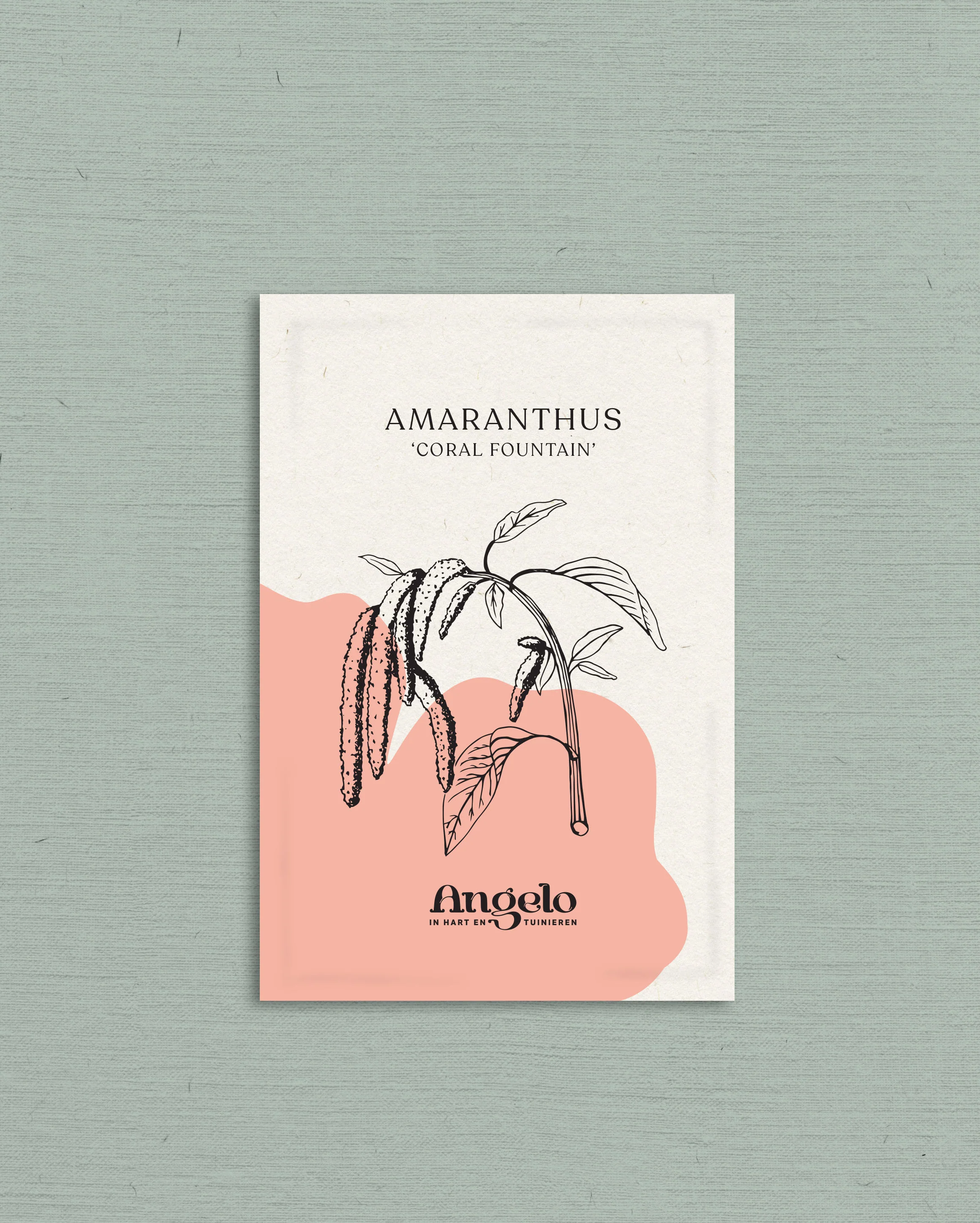 Miniatuur 2