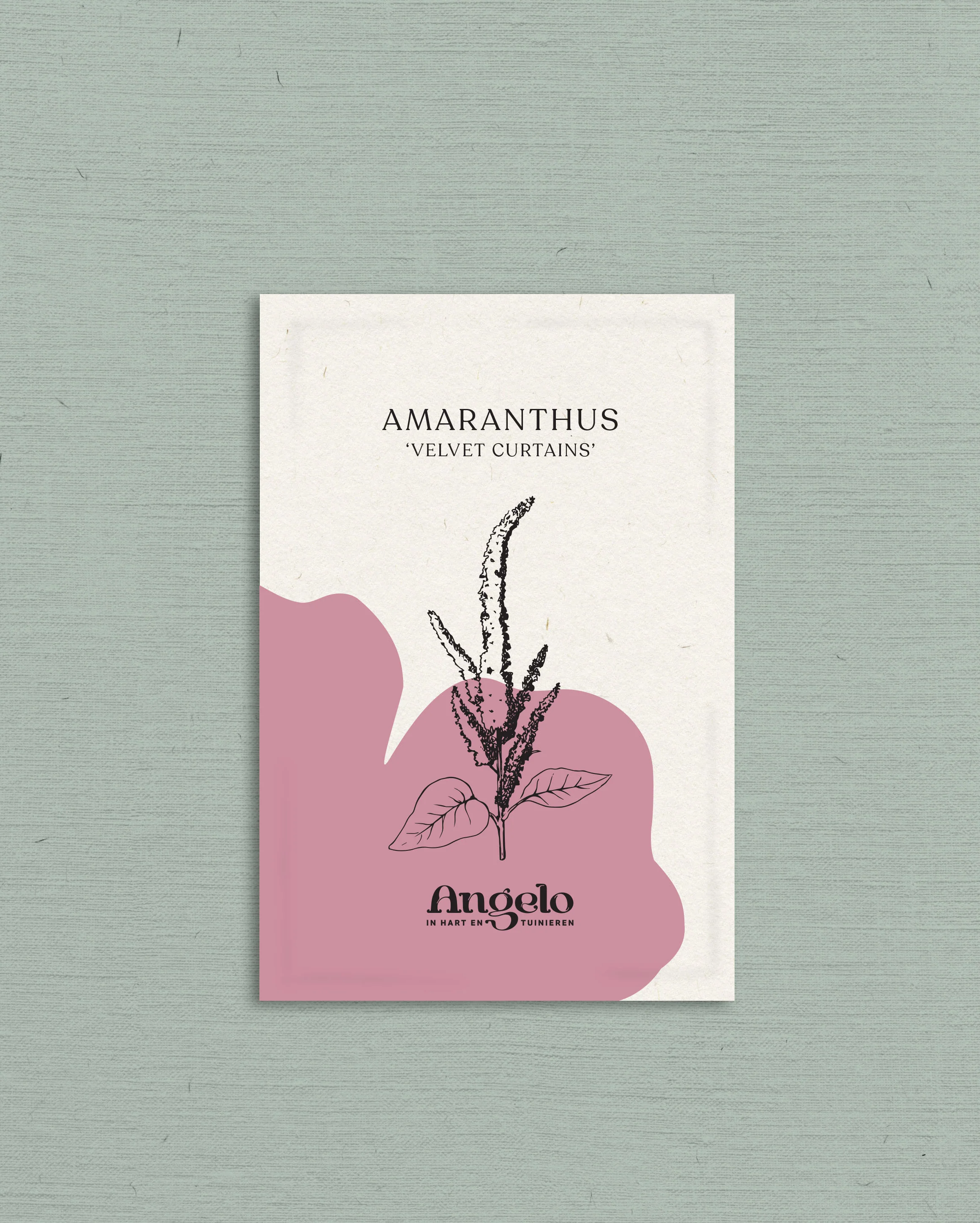 Miniatuur 2