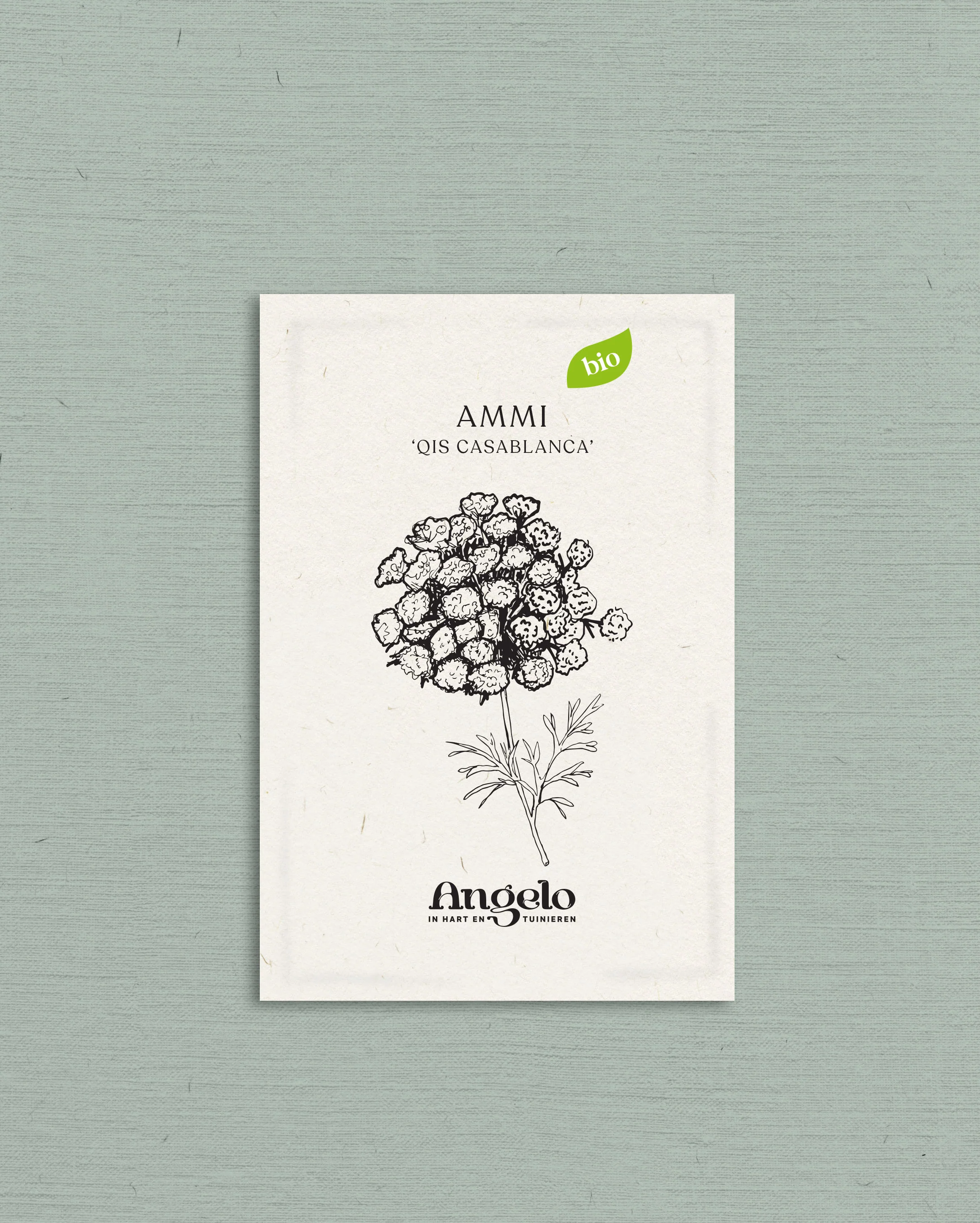 Miniatuur 2
