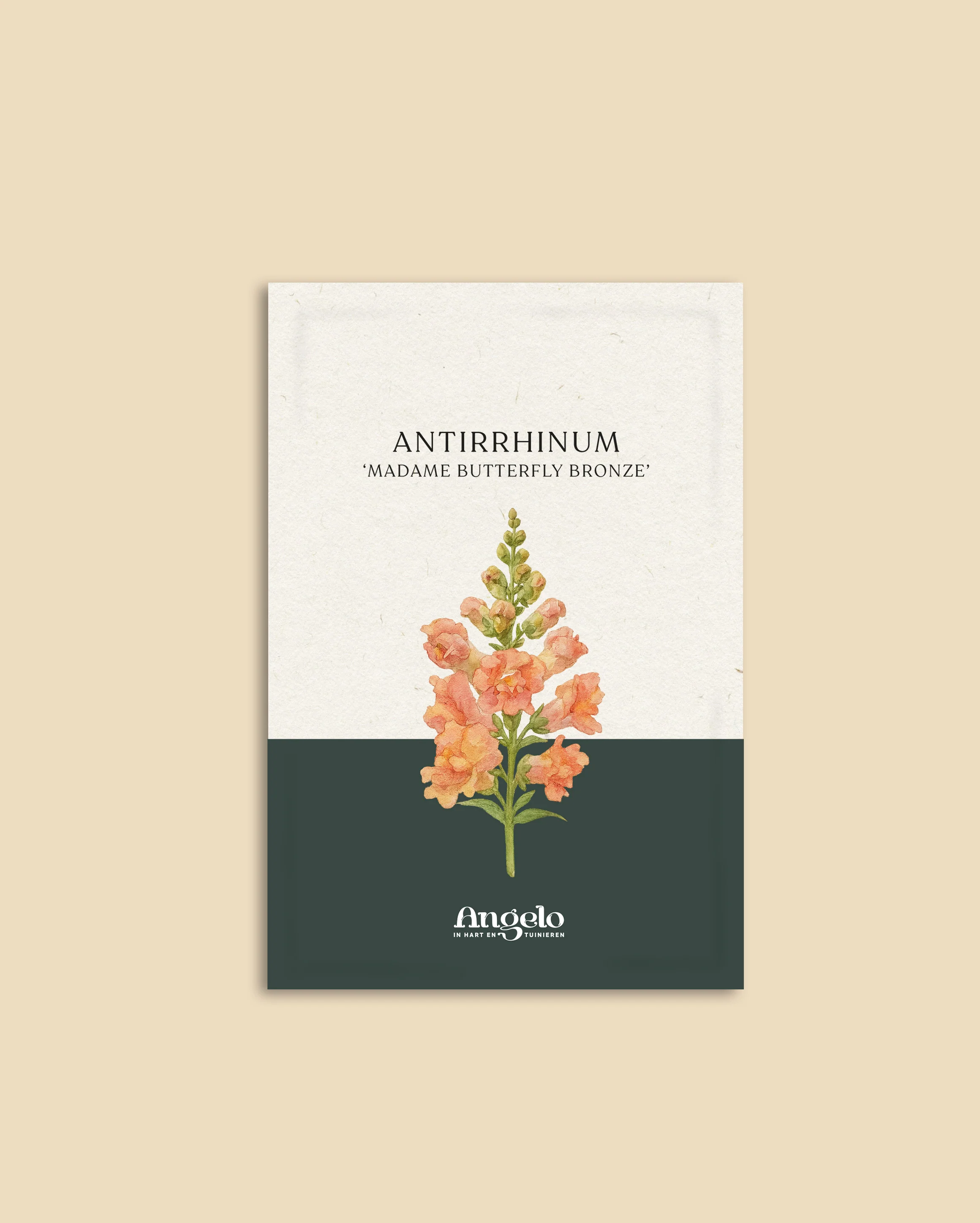 Miniatuur 2