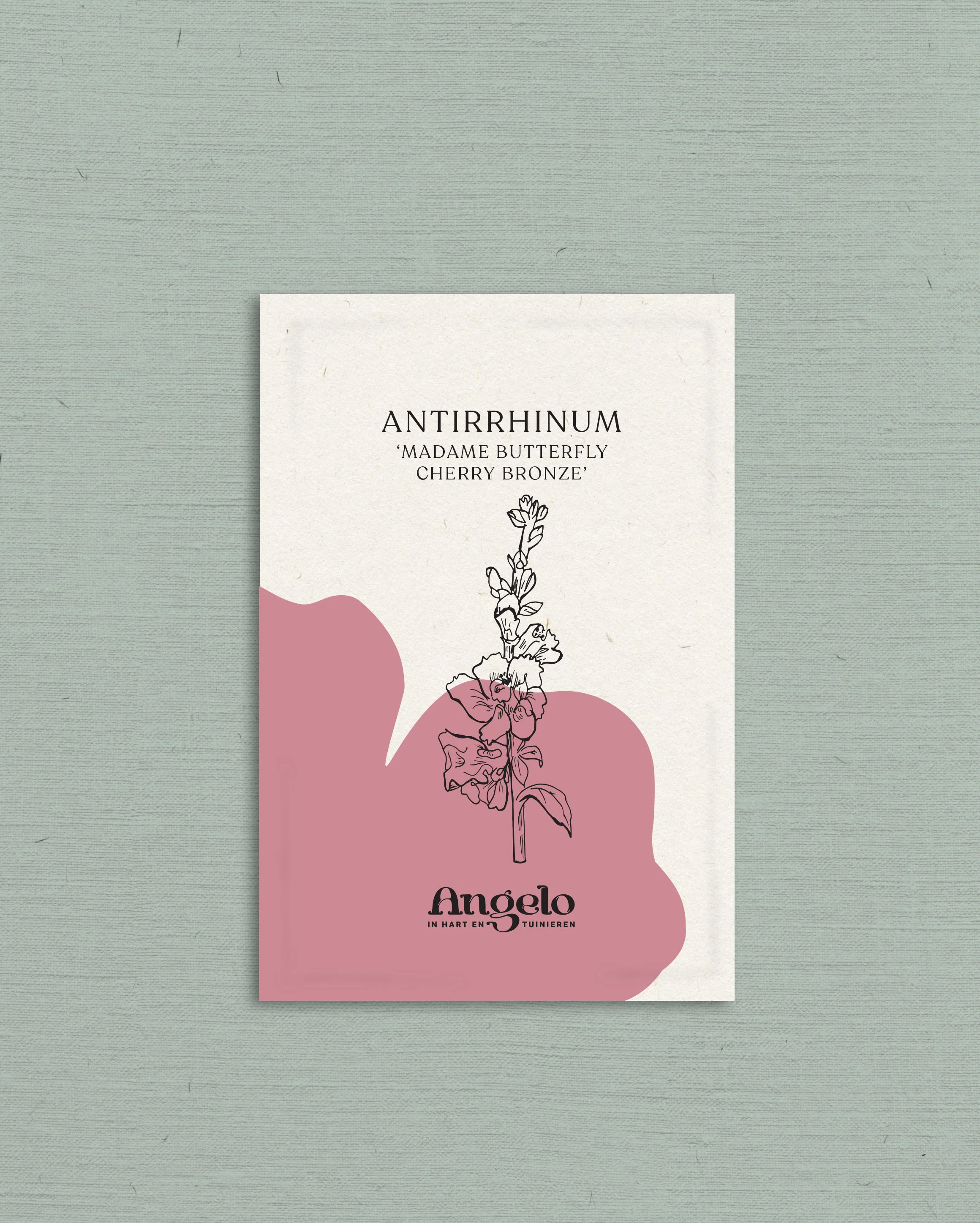 Miniatuur 2