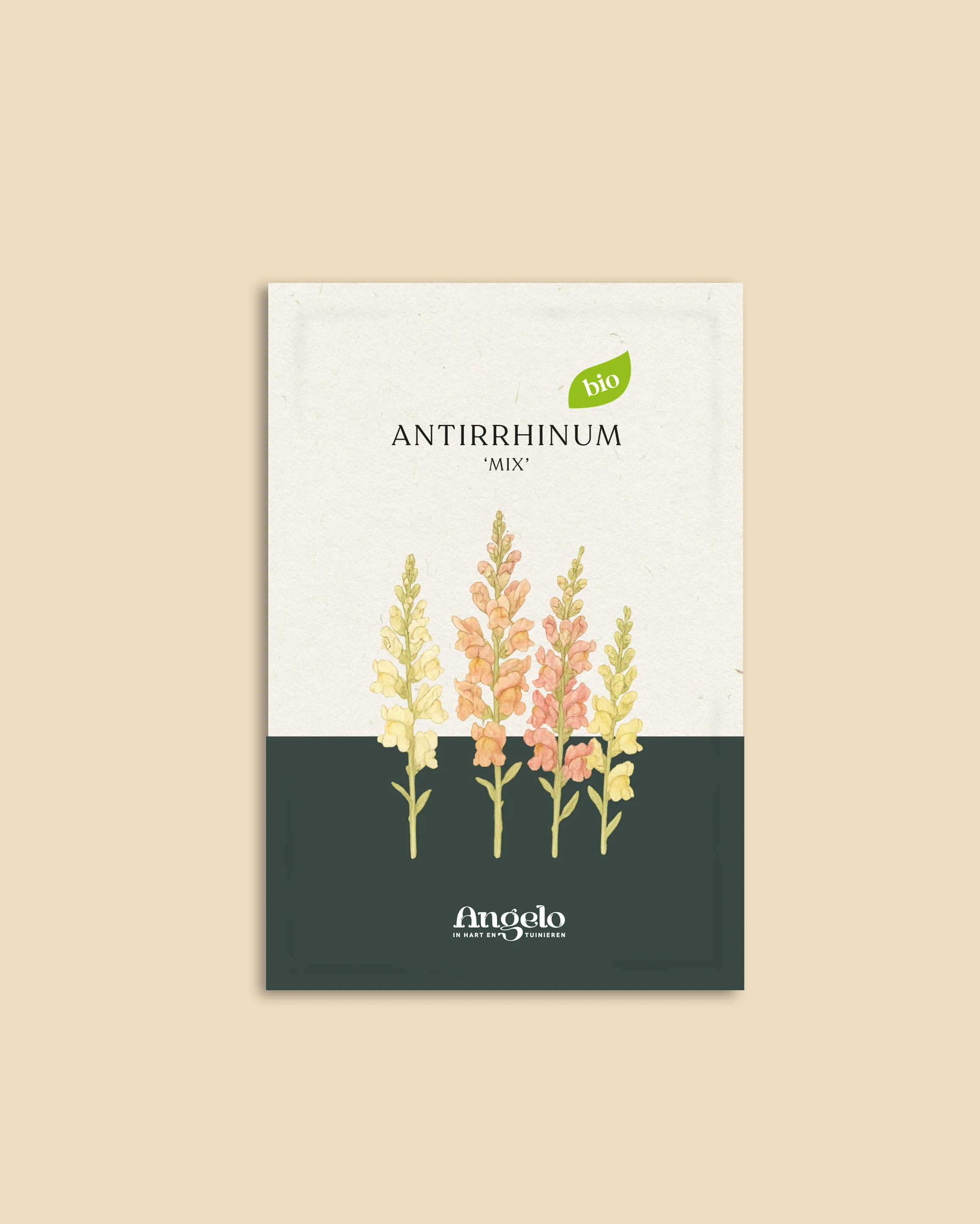 Miniatuur 2