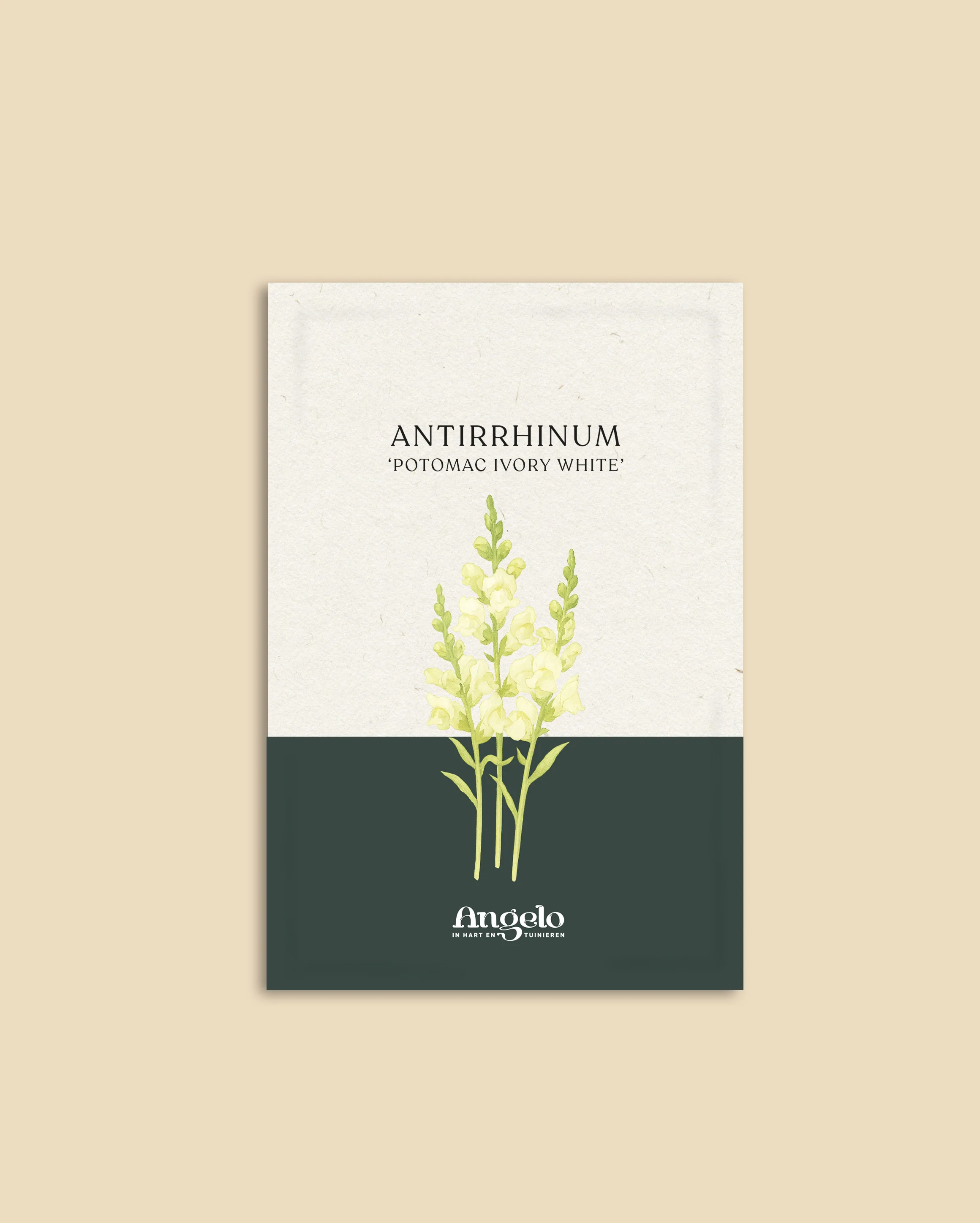 Miniatuur 2