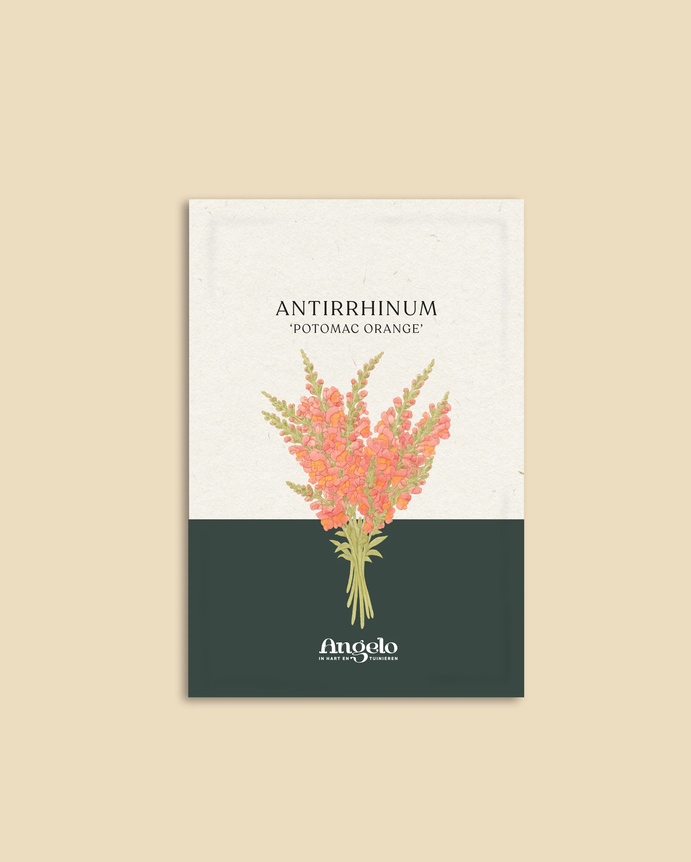Miniatuur 2