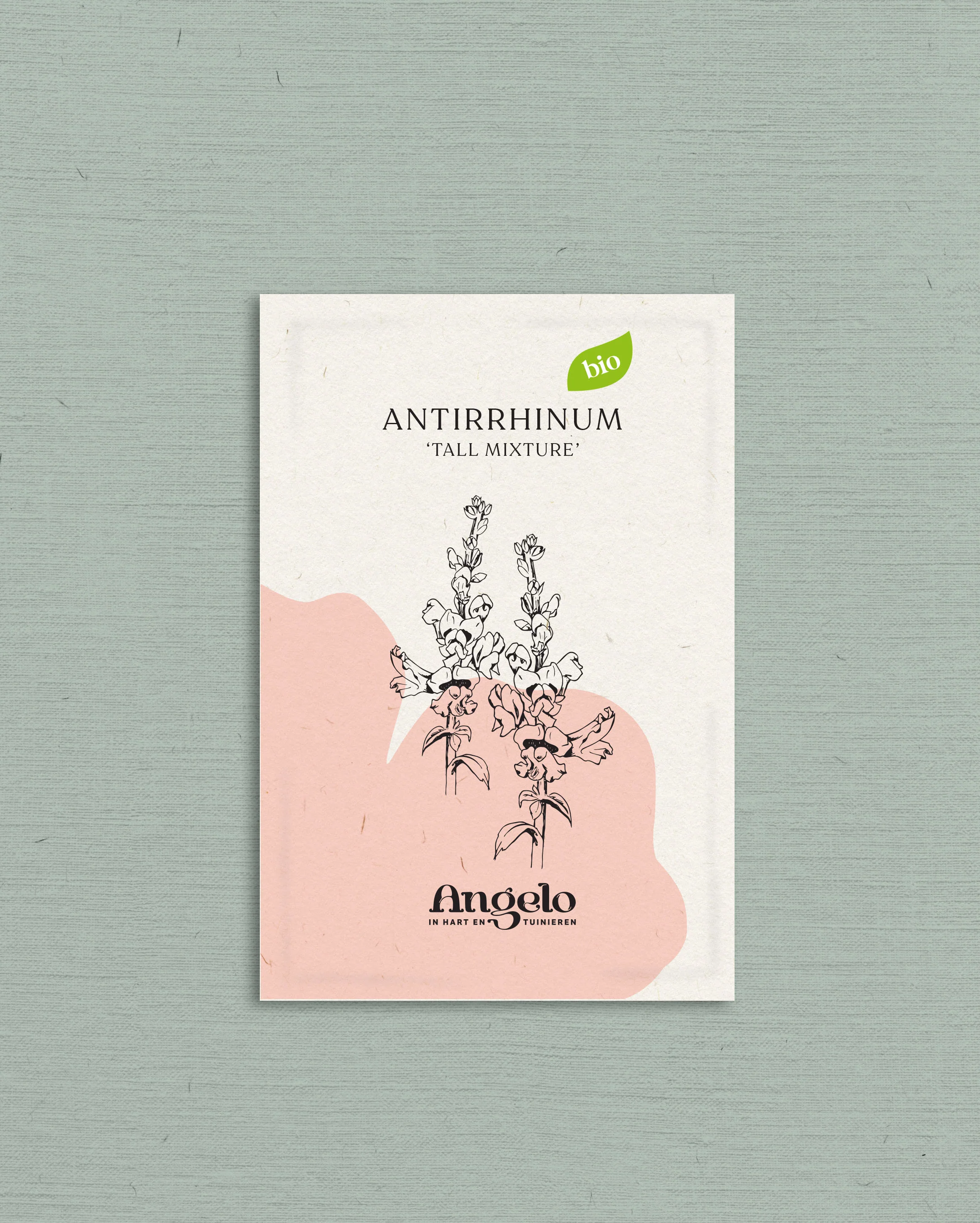 Miniatuur 2