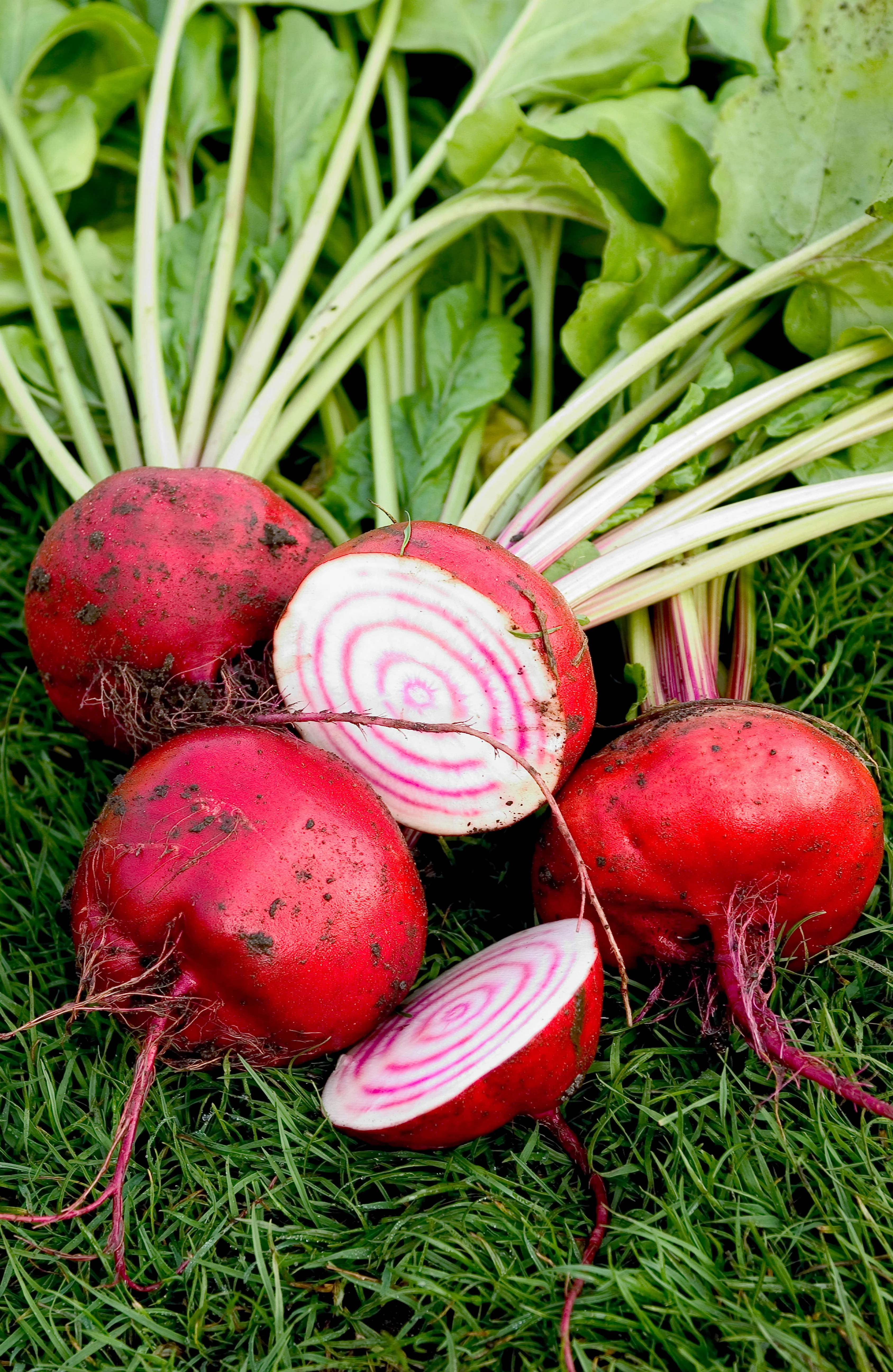 Miniatuur 1