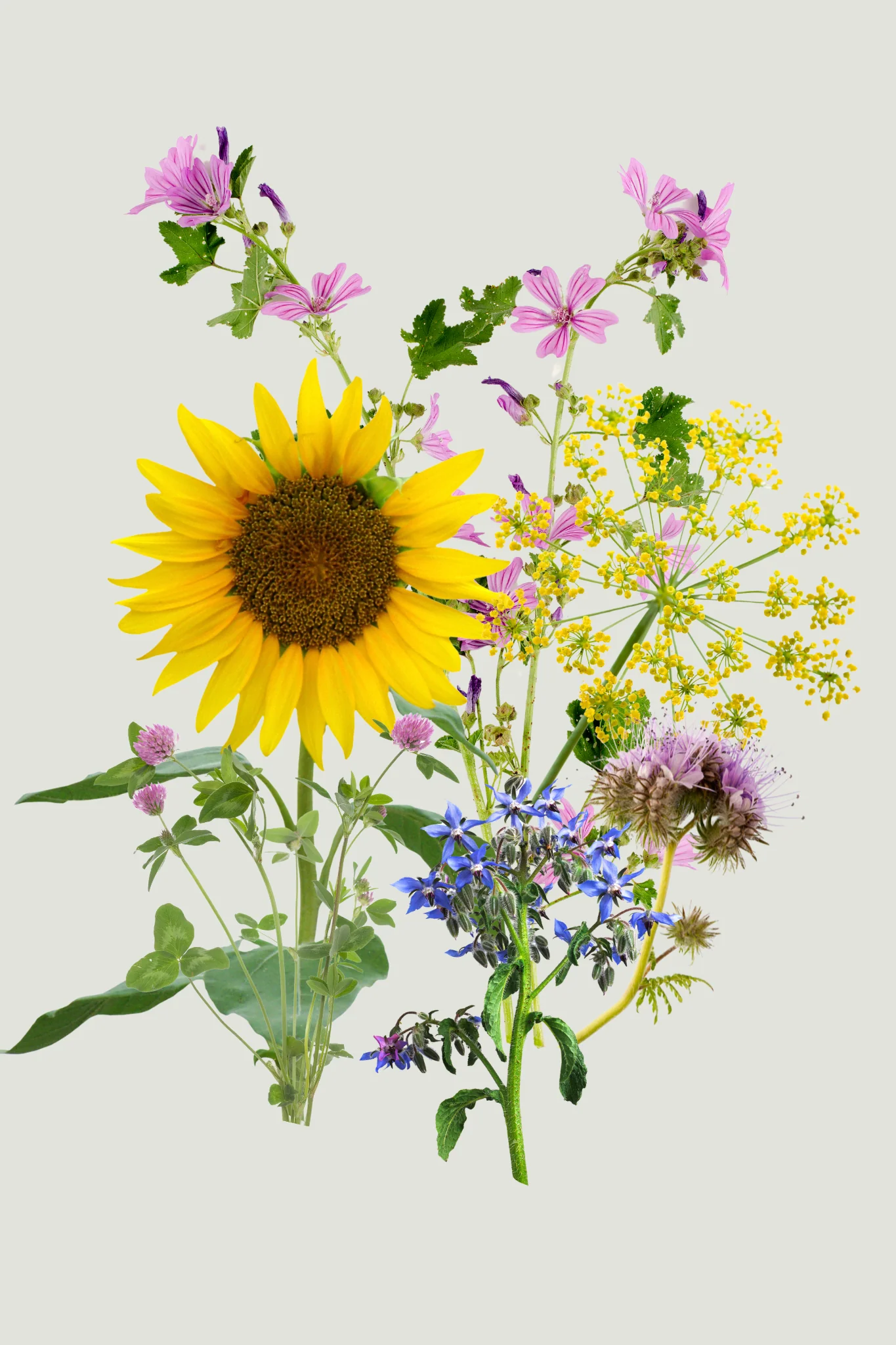 Miniatuur 1