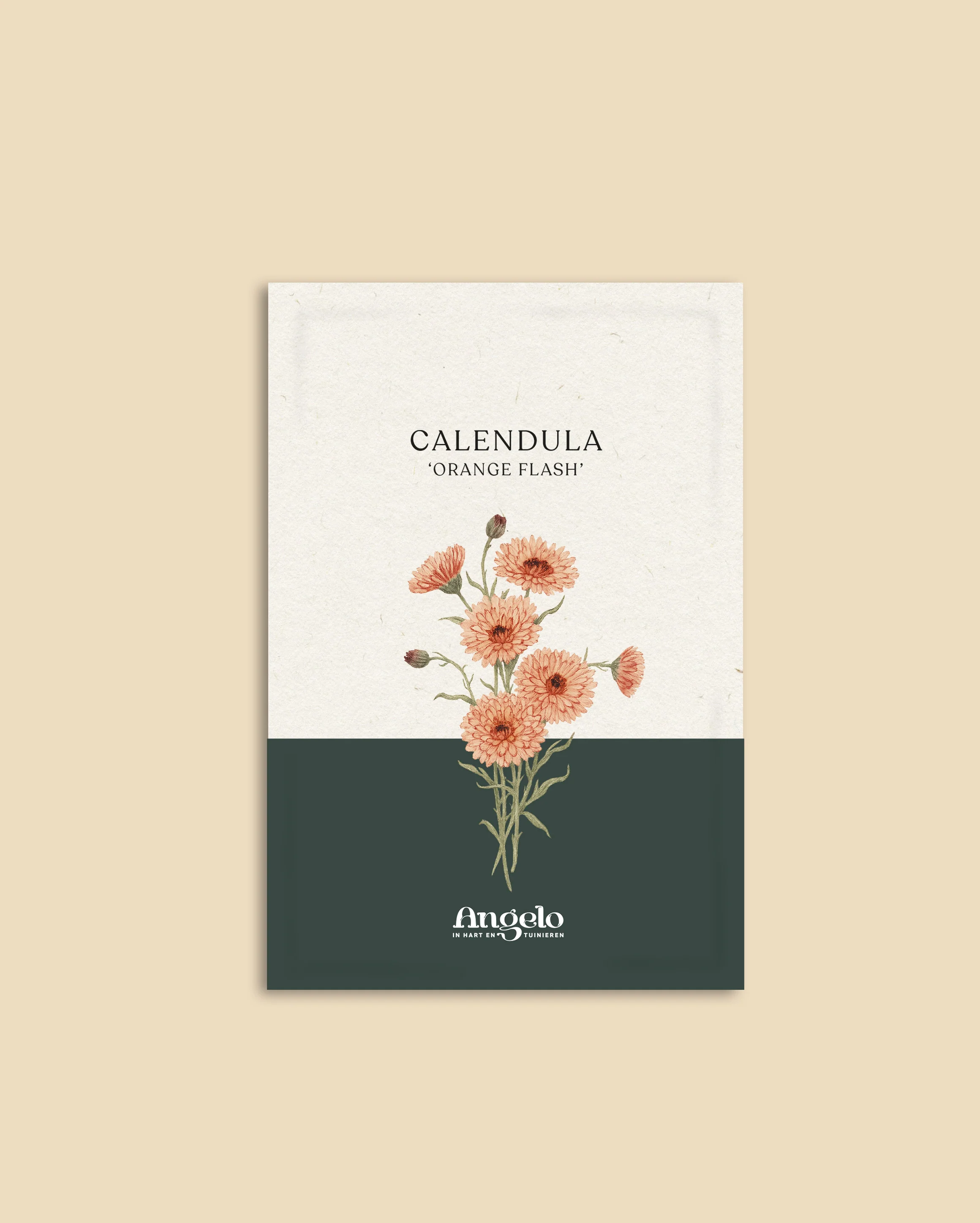 Miniatuur 2