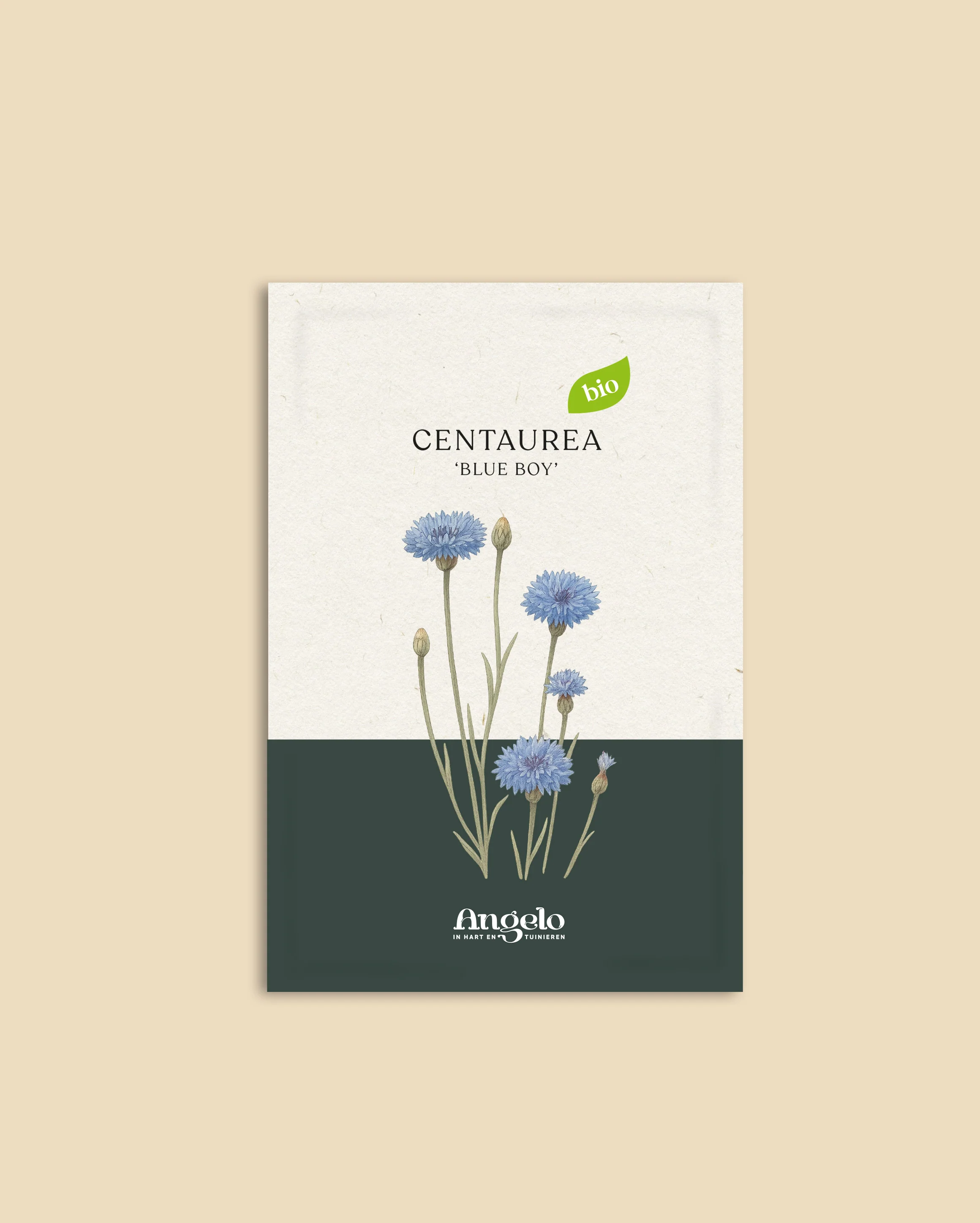 Miniatuur 2