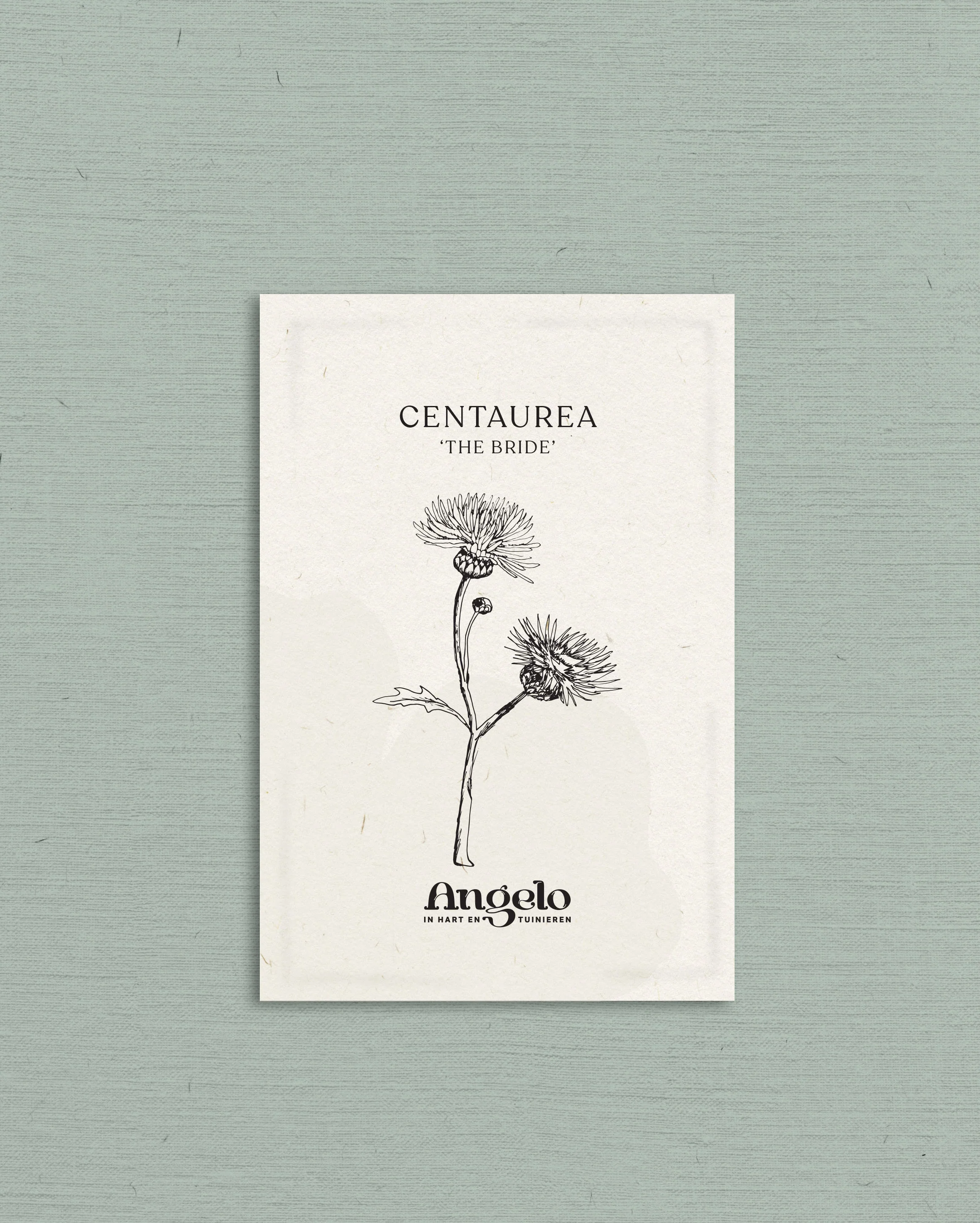 Miniatuur 2