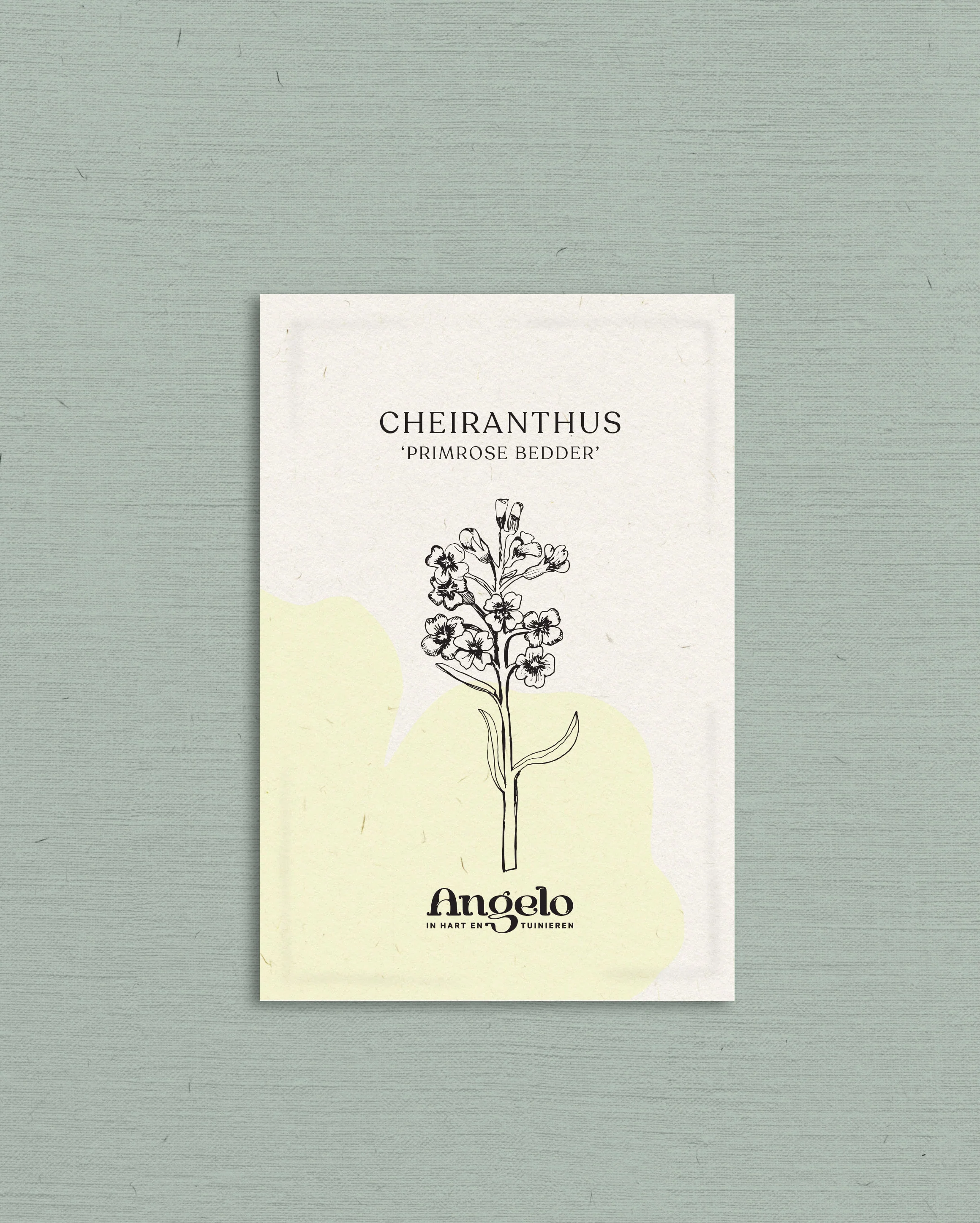 Miniatuur 2