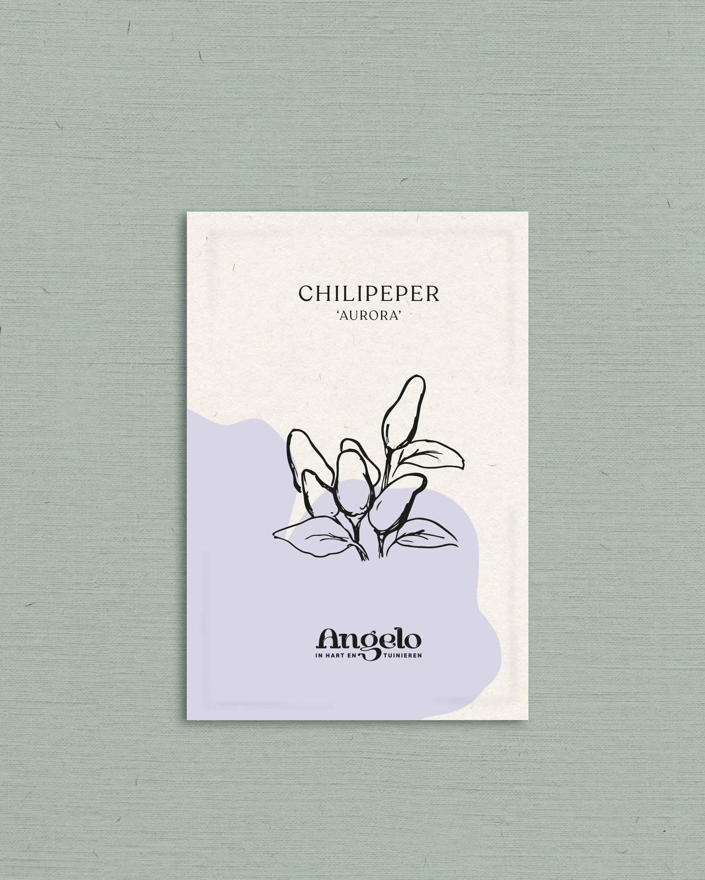 Miniatuur 2