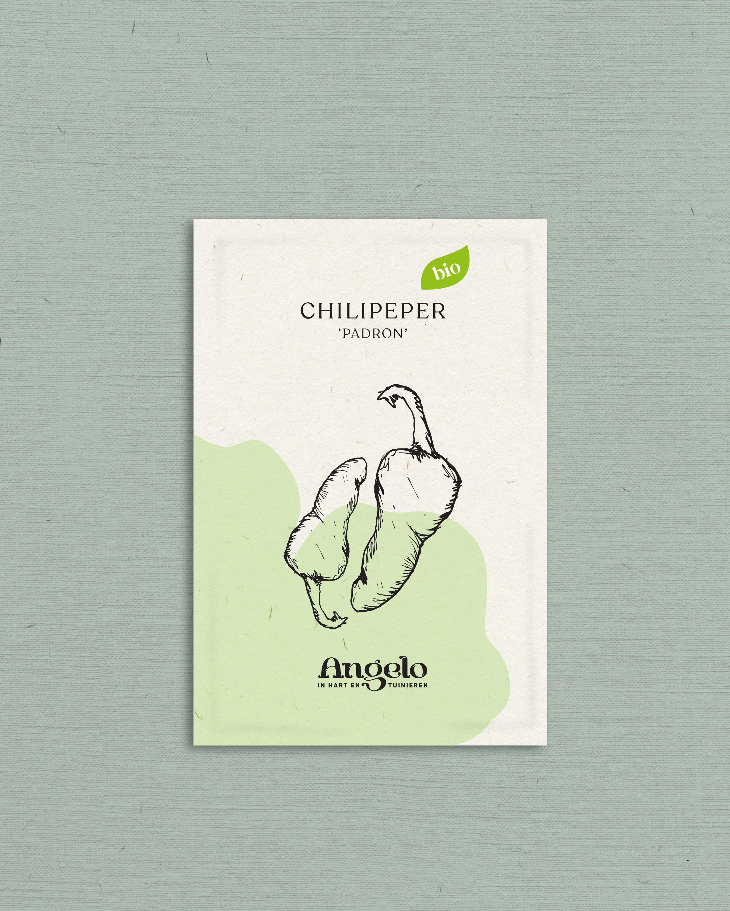 Miniatuur 2