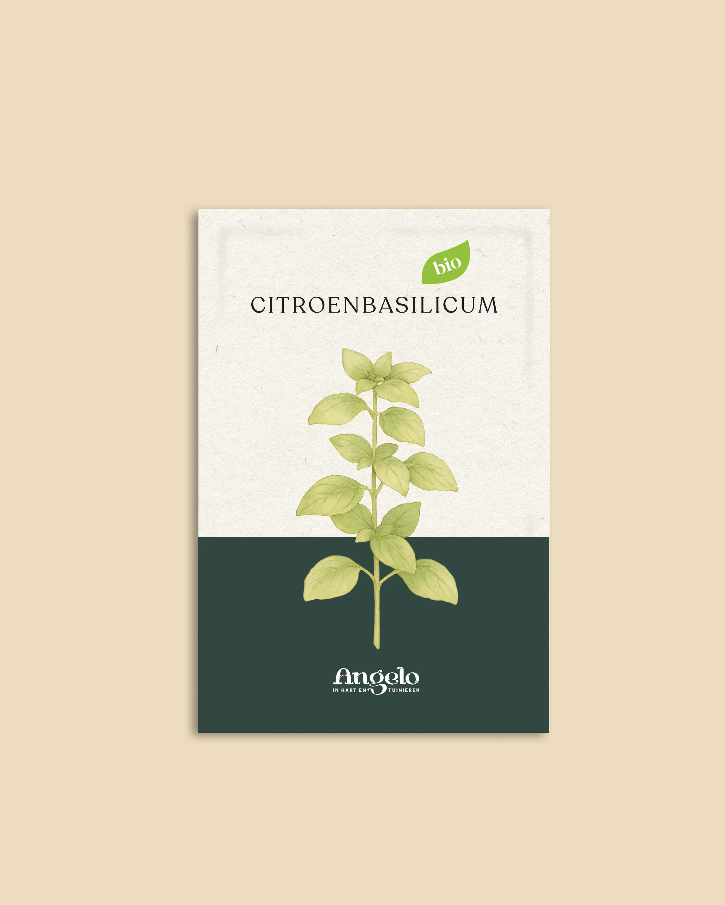 Miniatuur 2