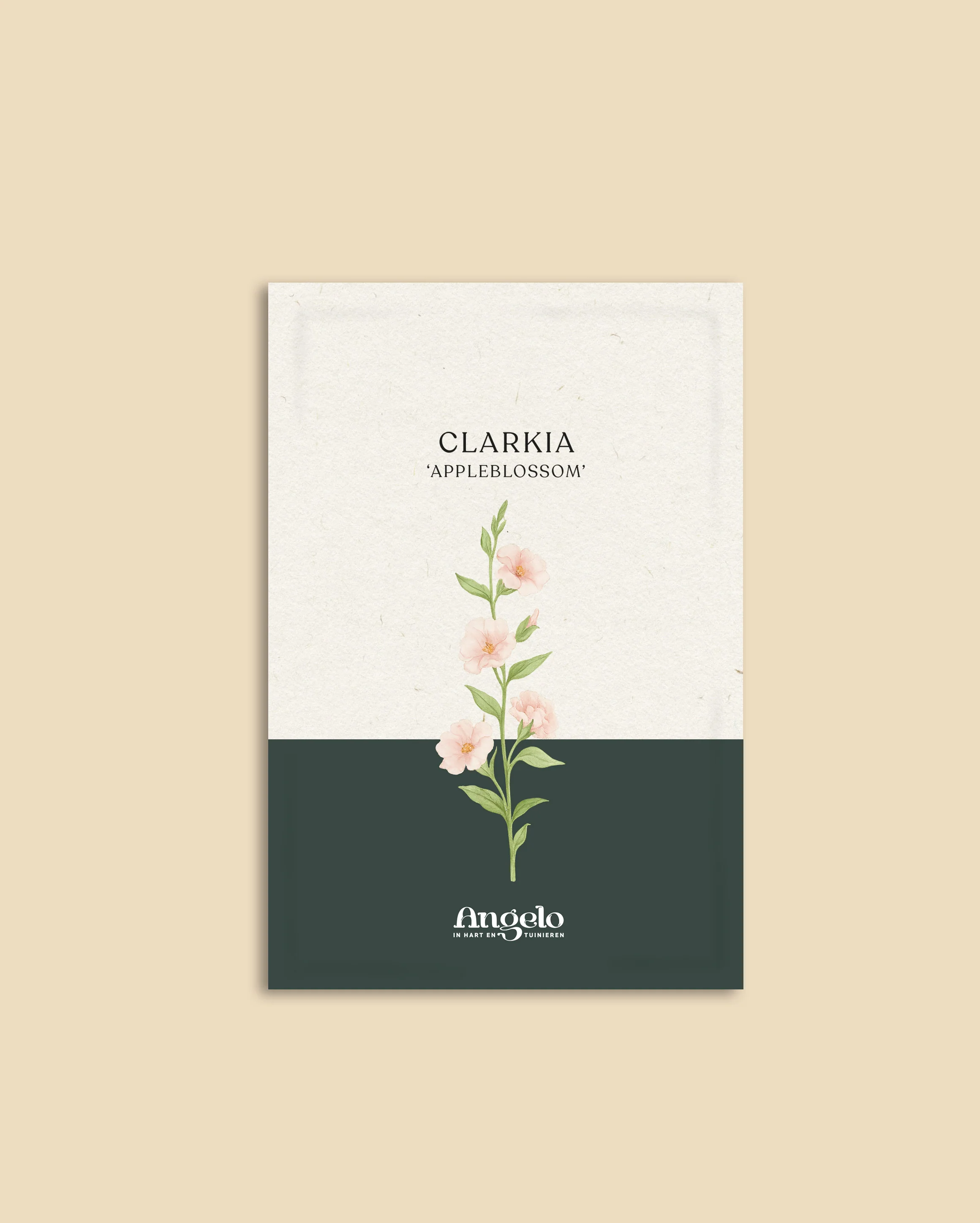 Miniatuur 2