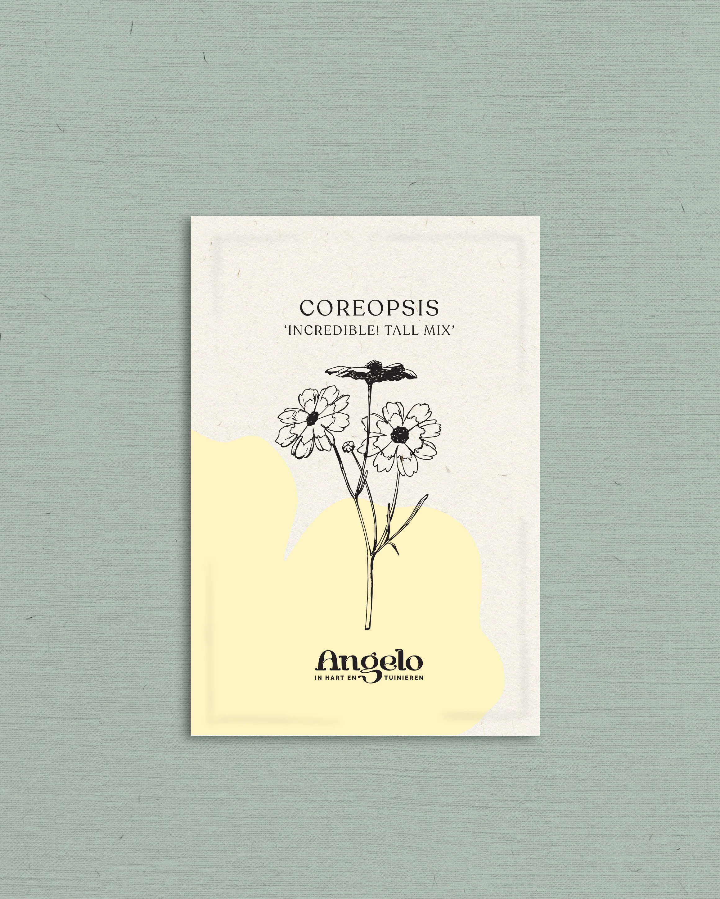 Miniatuur 2