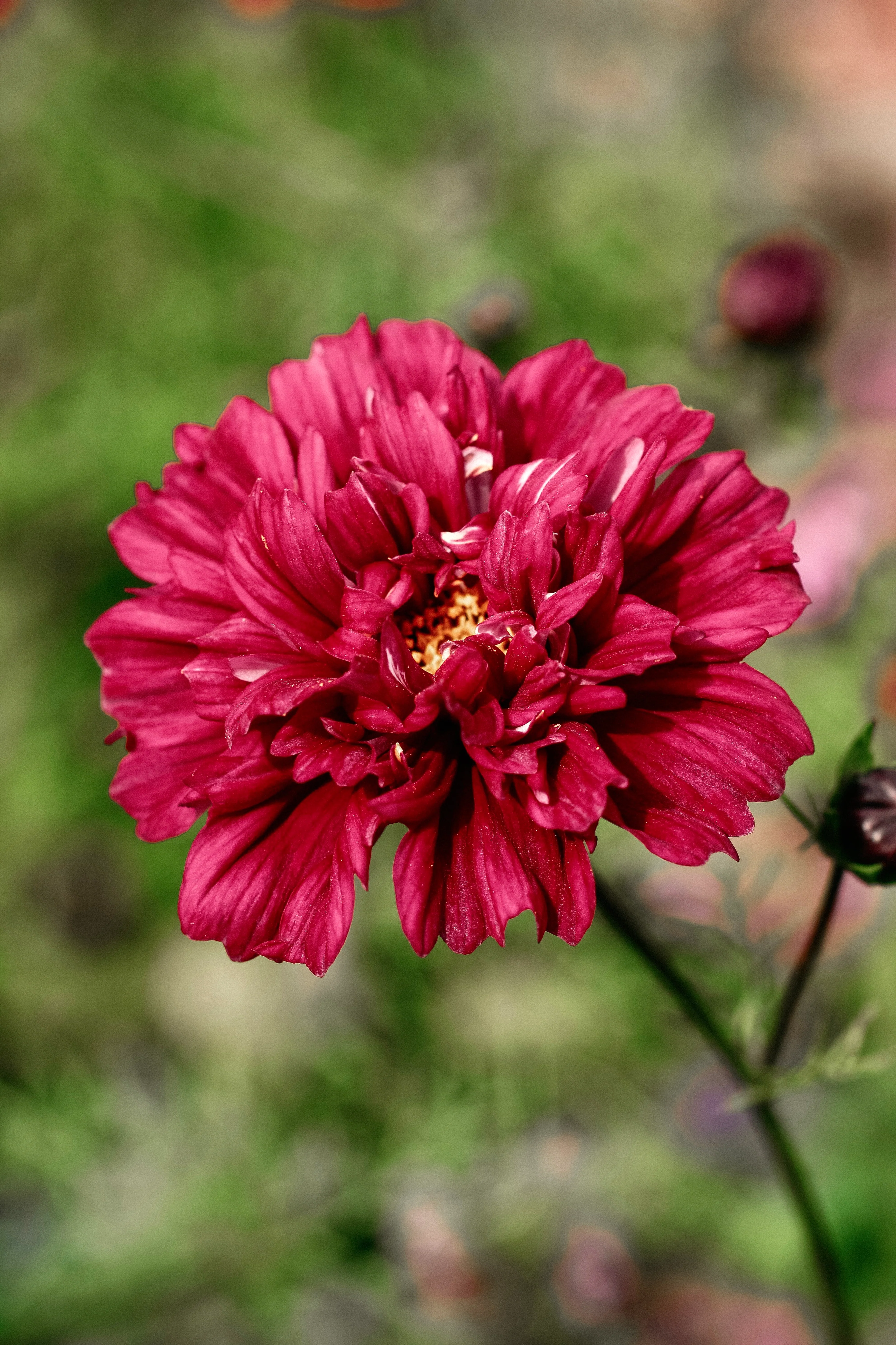Miniatuur 1