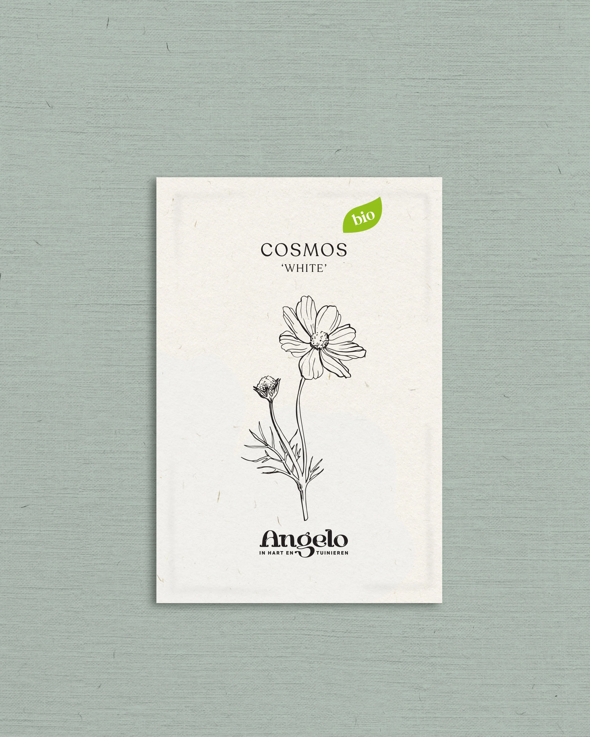 Miniatuur 2