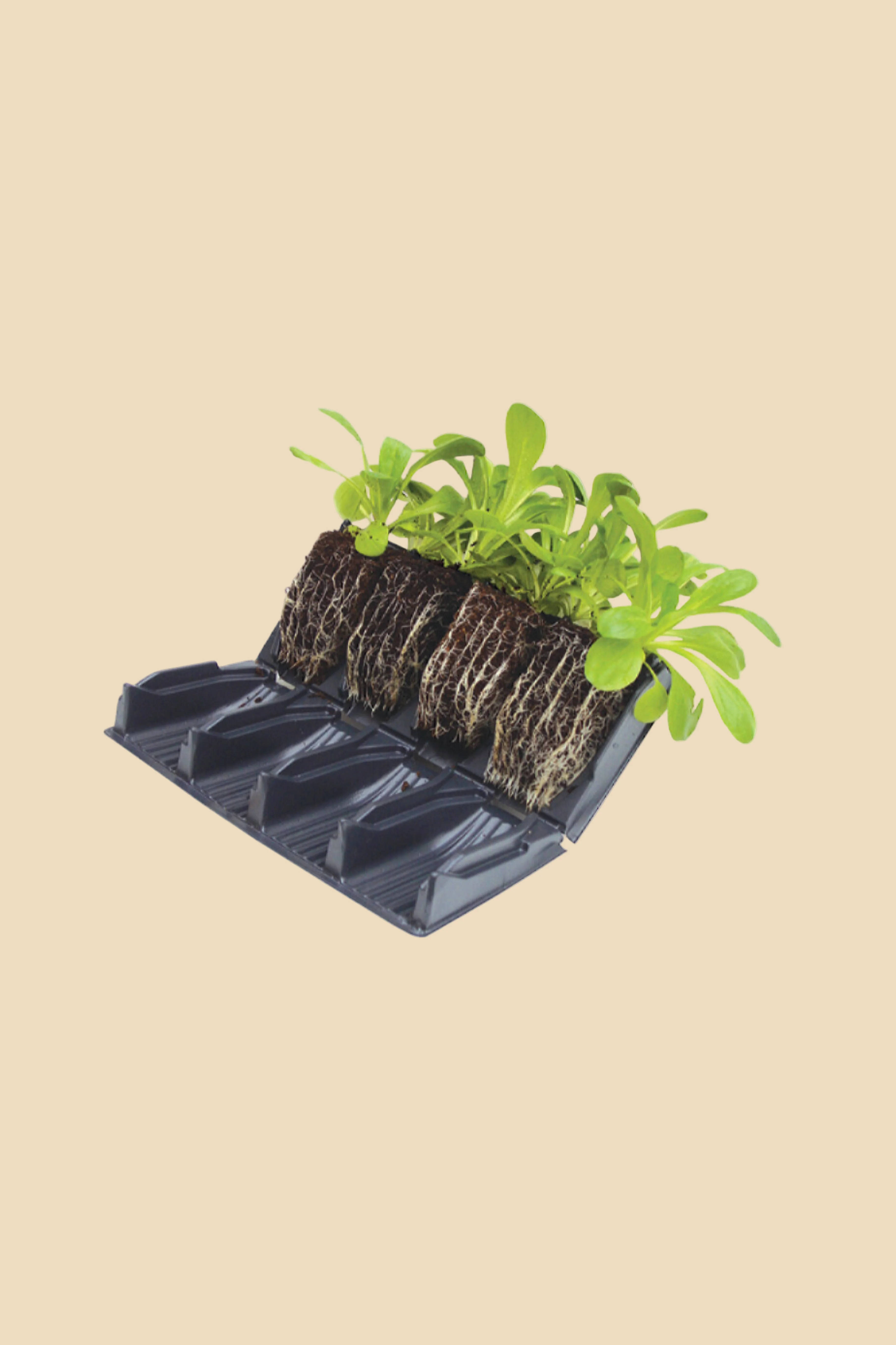 Productafbeelding 1