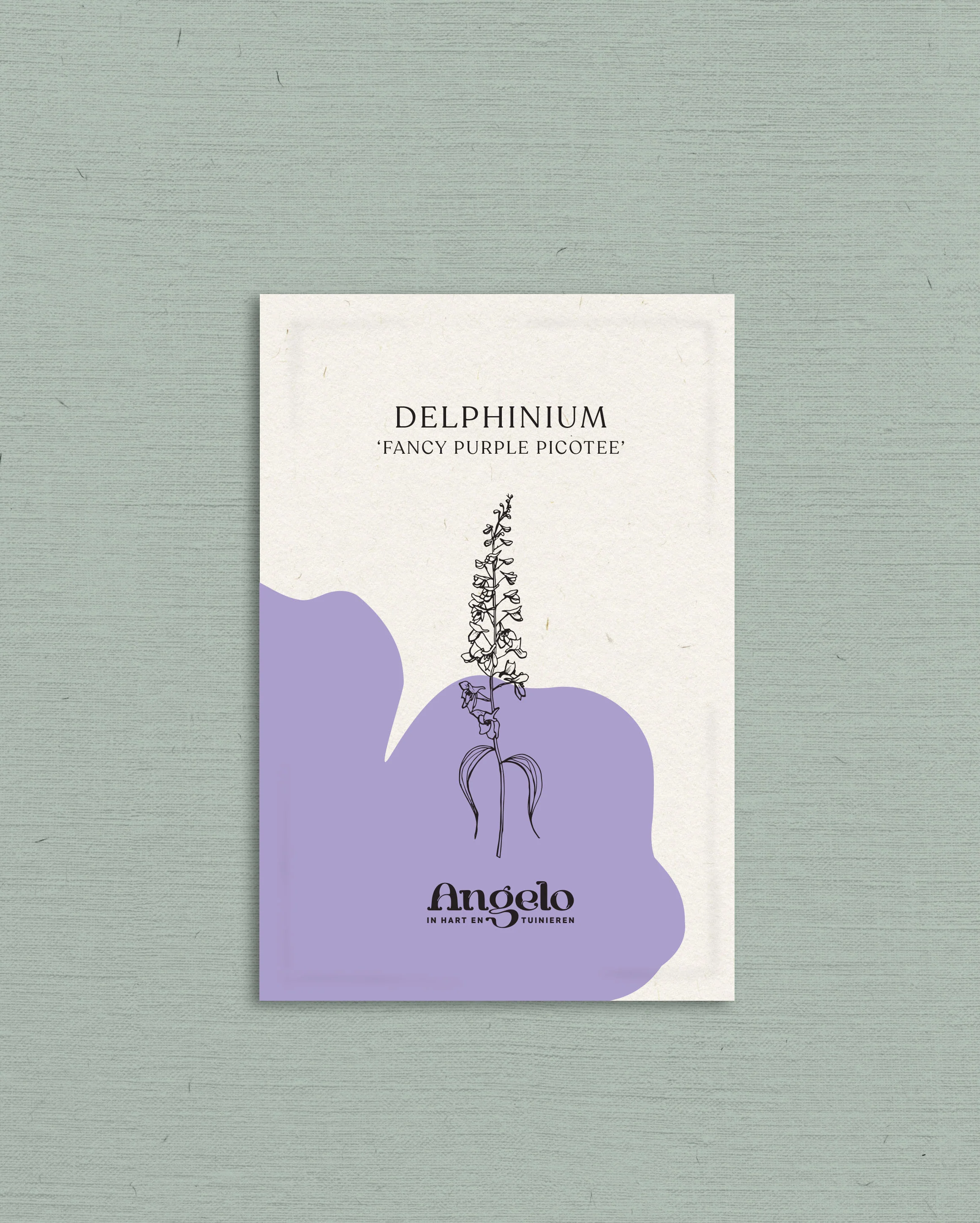 Miniatuur 2