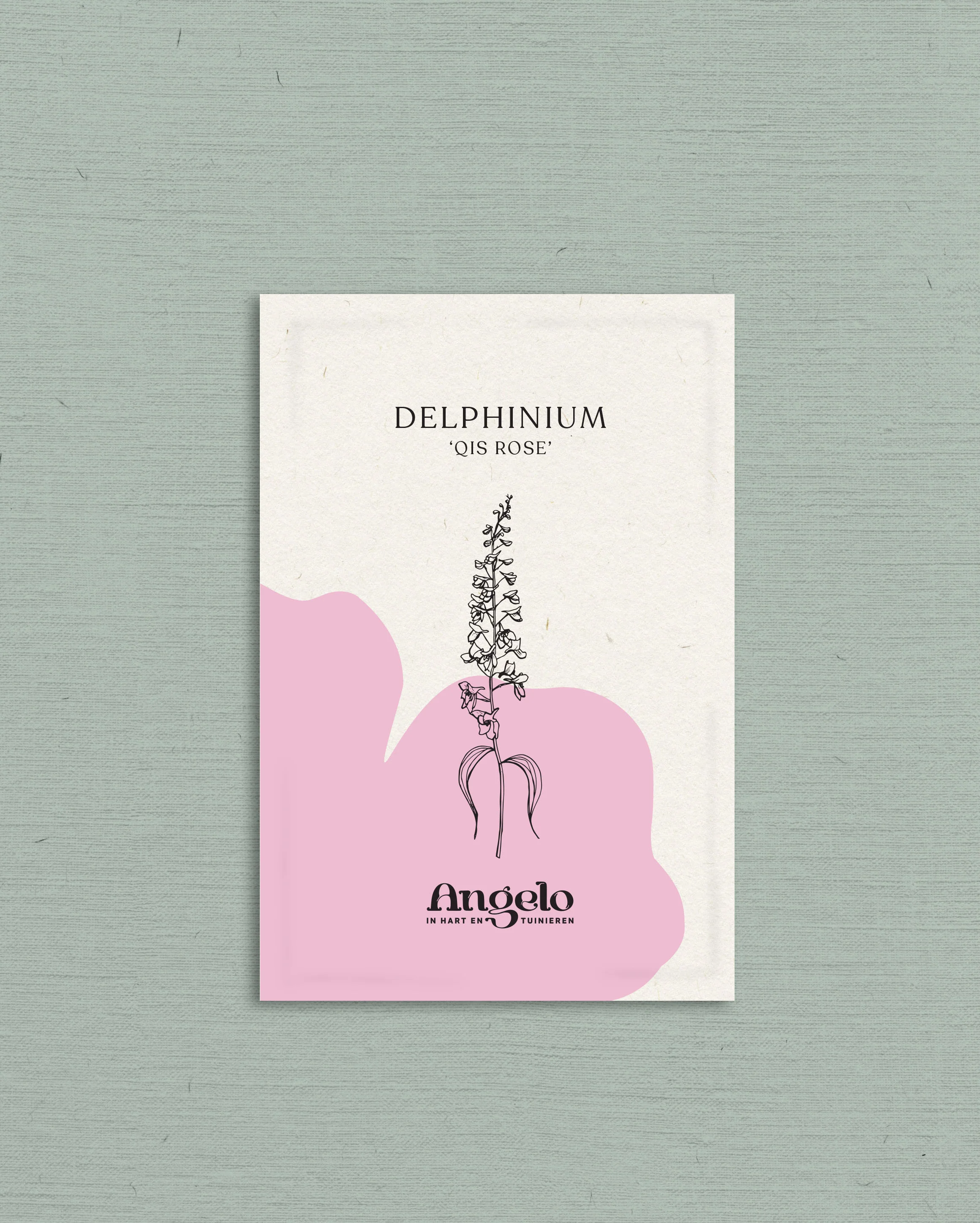 Miniatuur 2