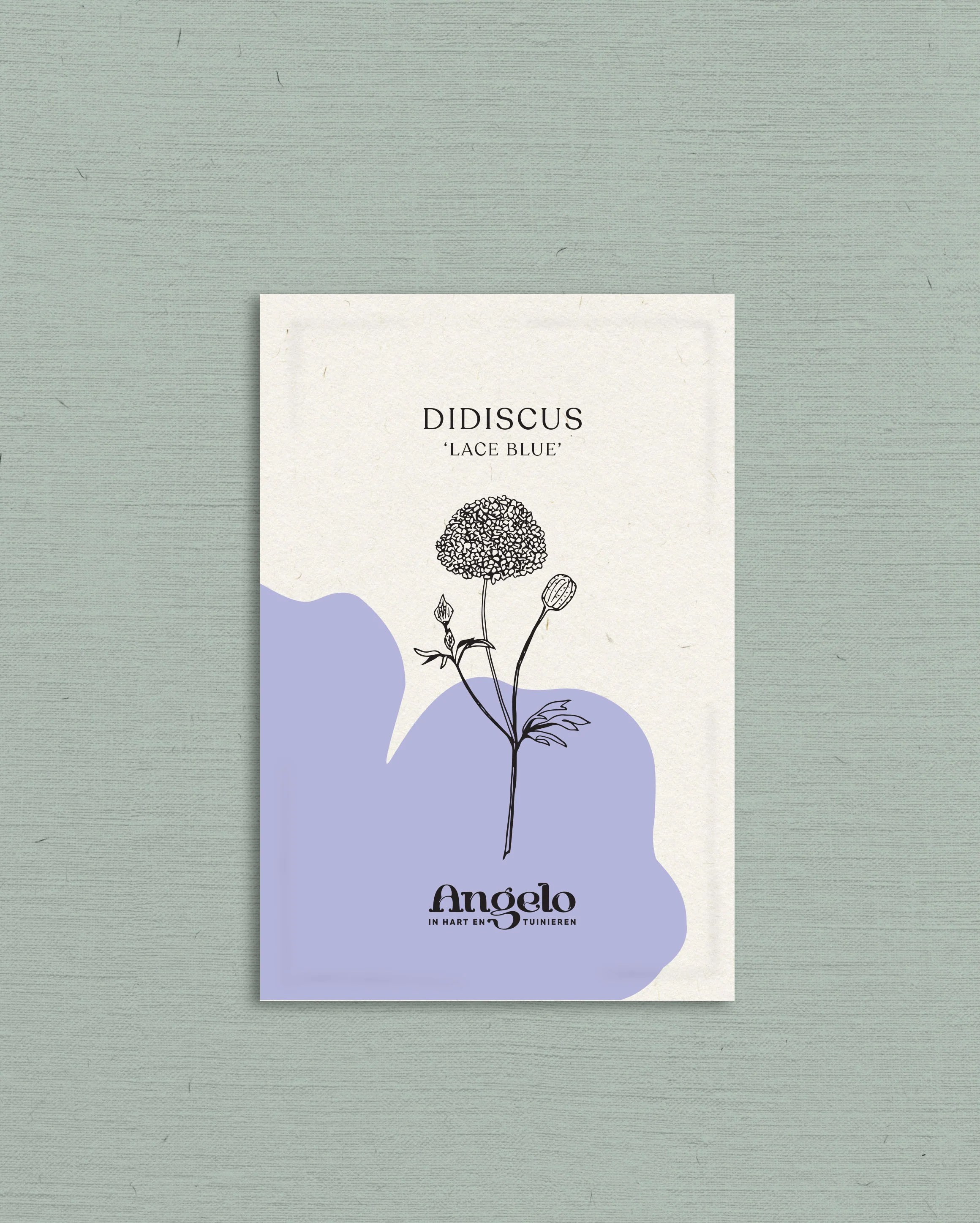 Miniatuur 2