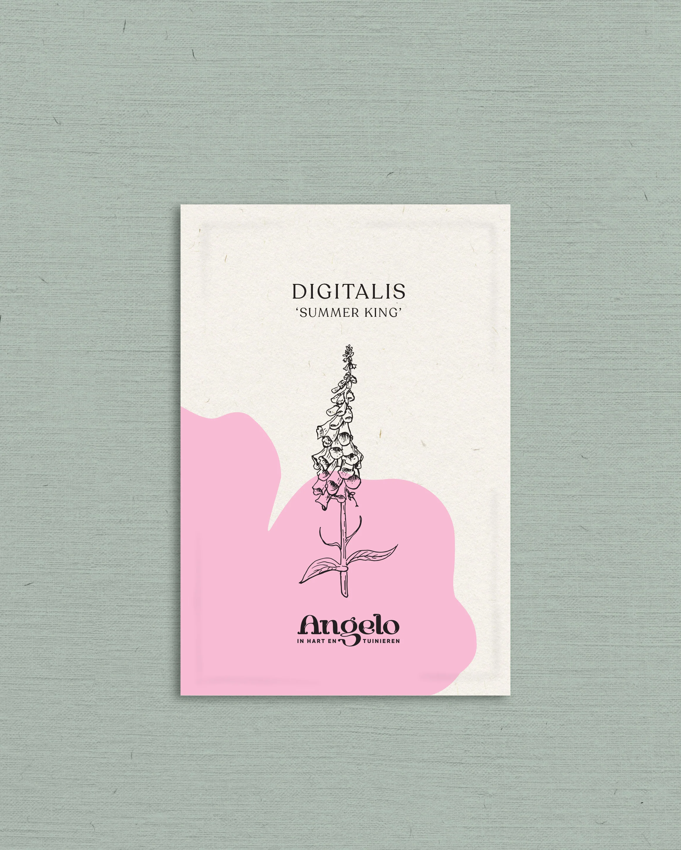 Miniatuur 2