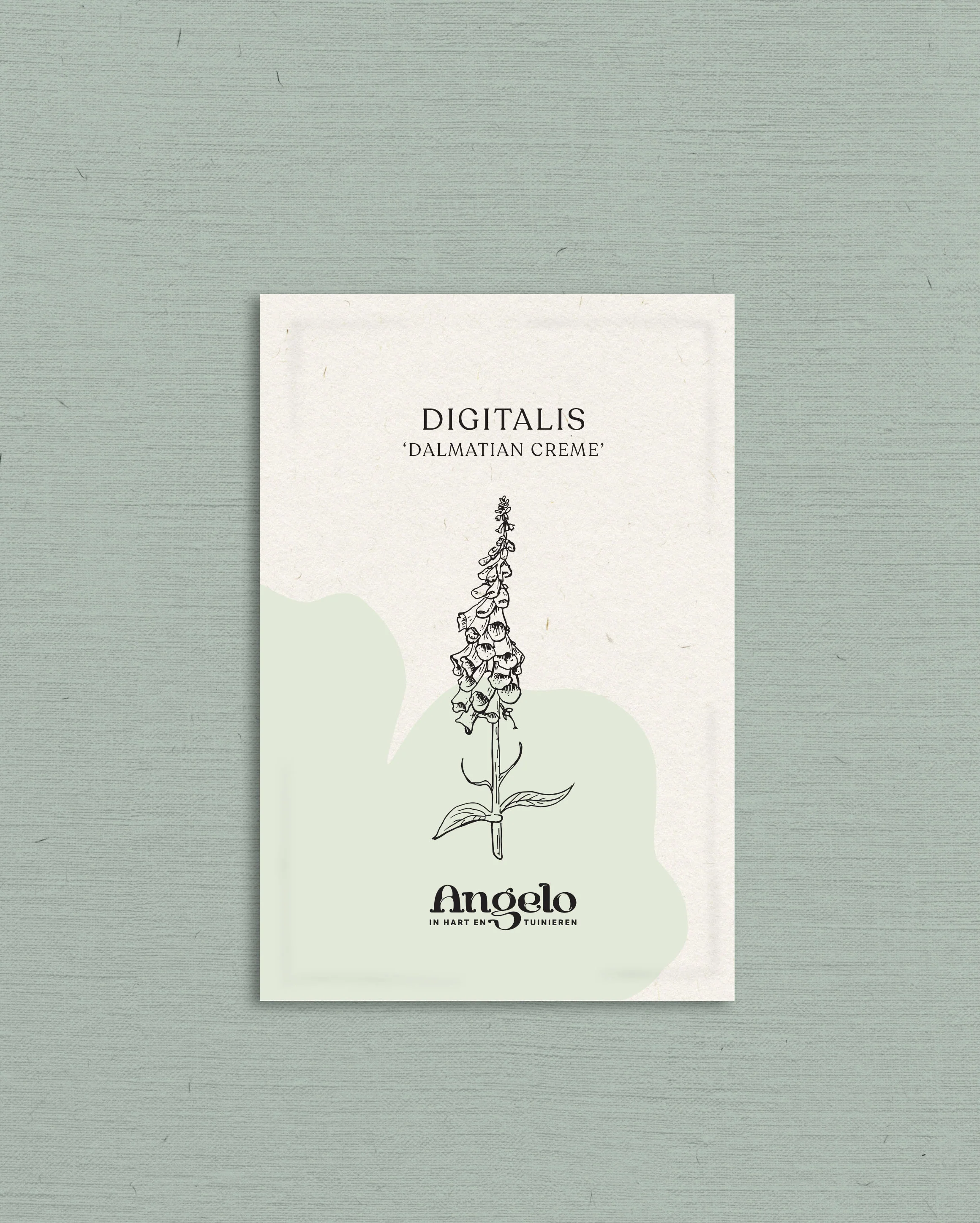 Miniatuur 2