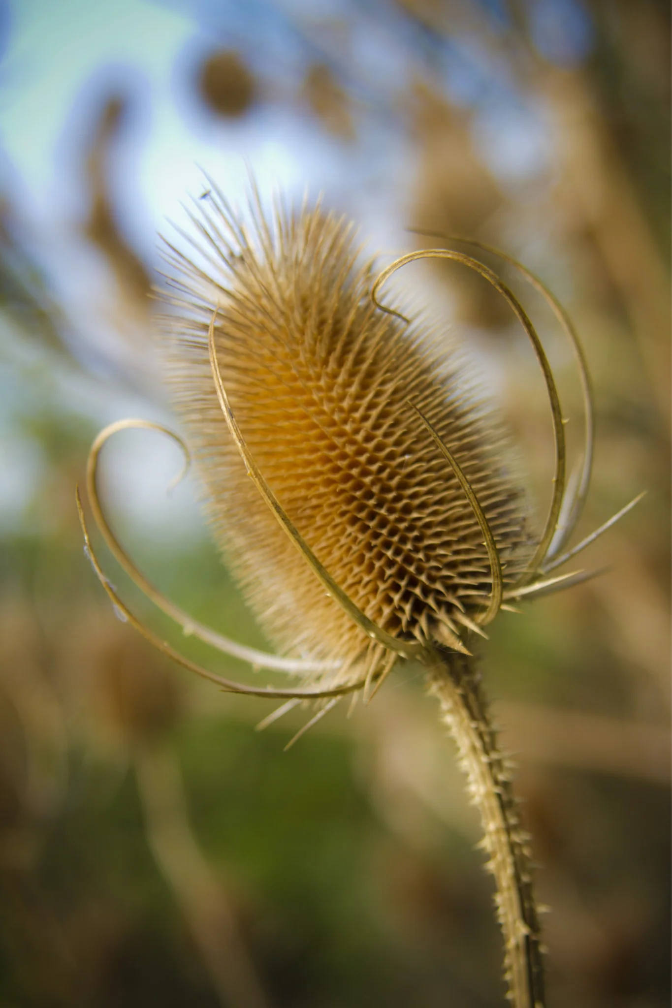 Miniatuur 4