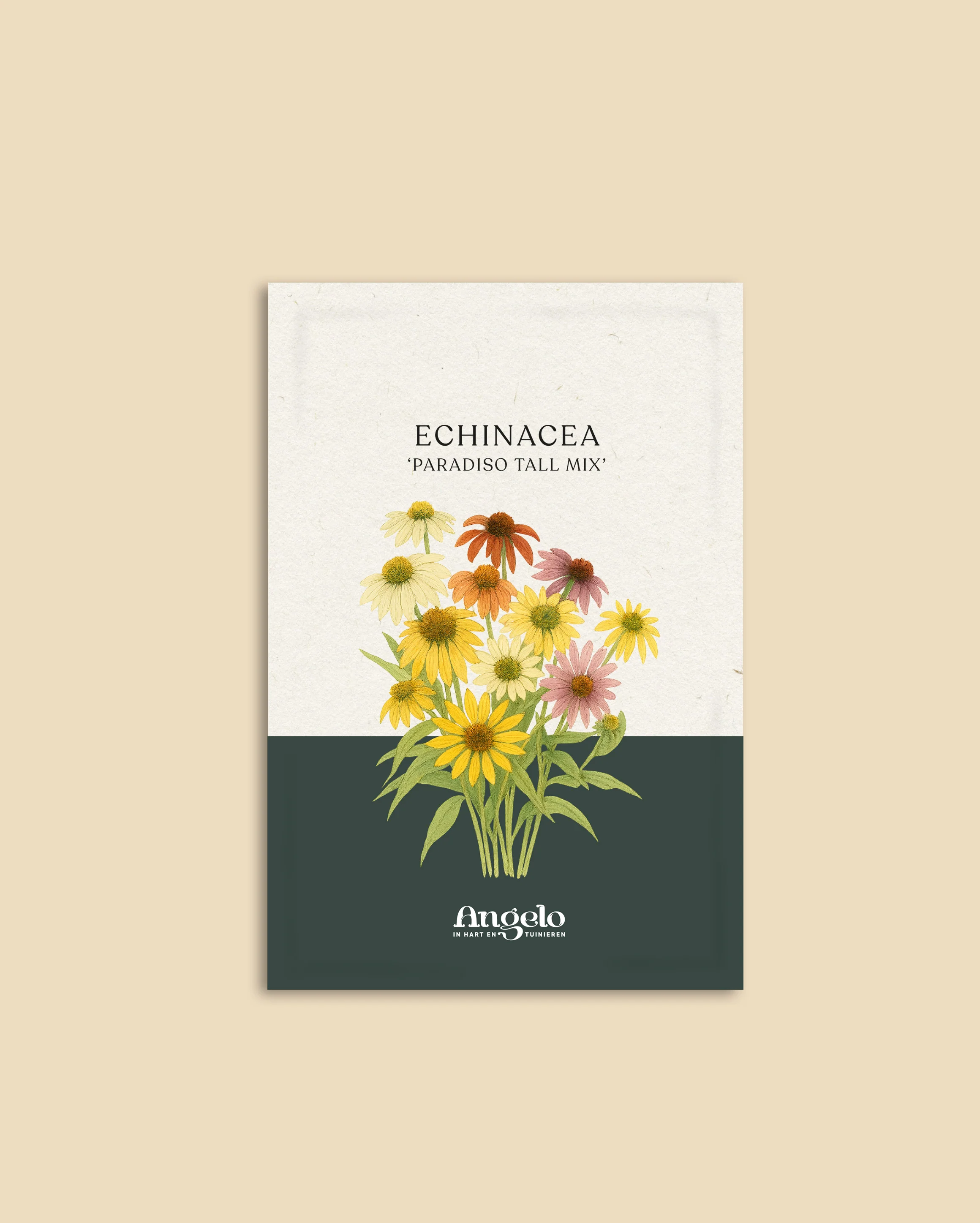 Miniatuur 2