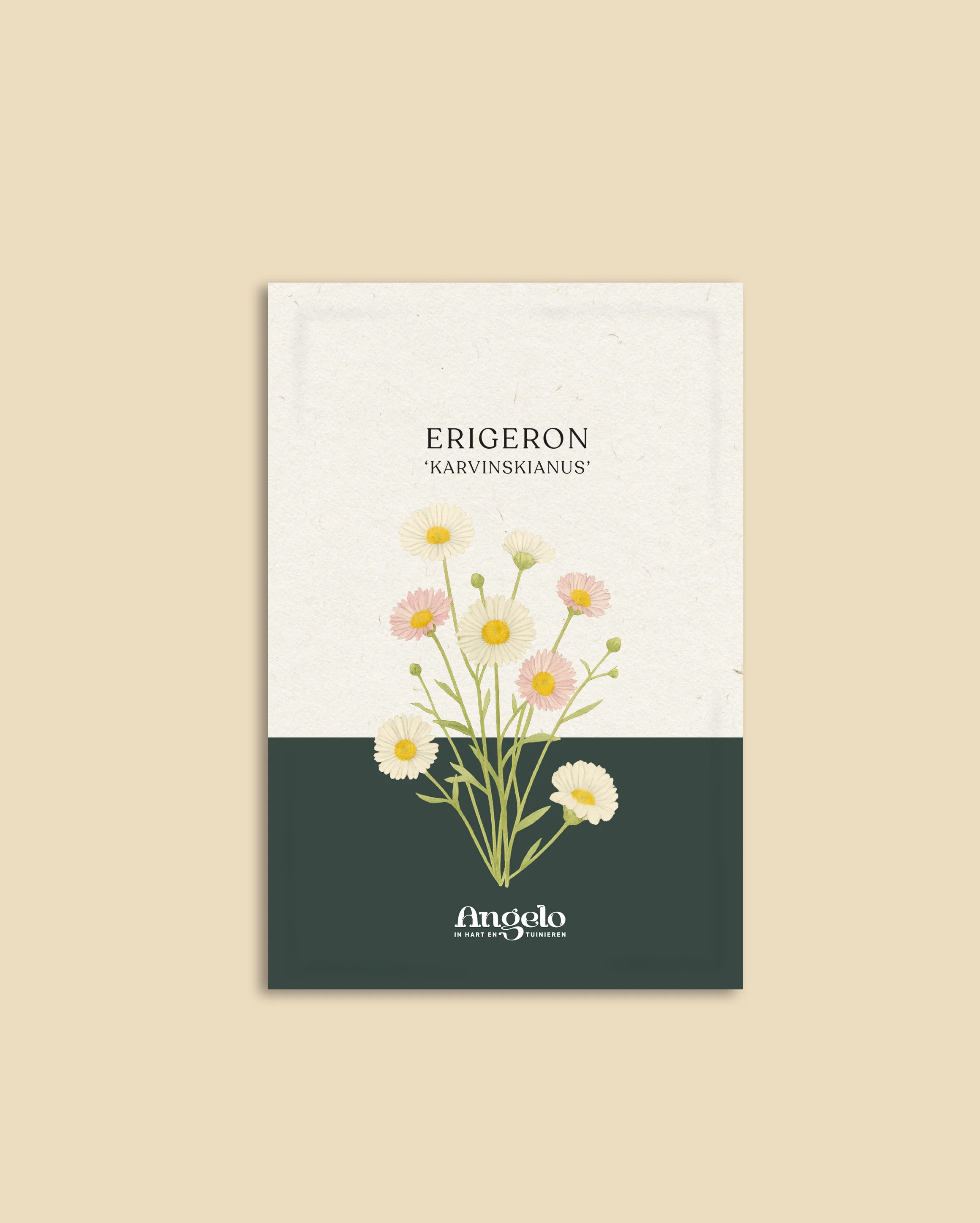 Miniatuur 2