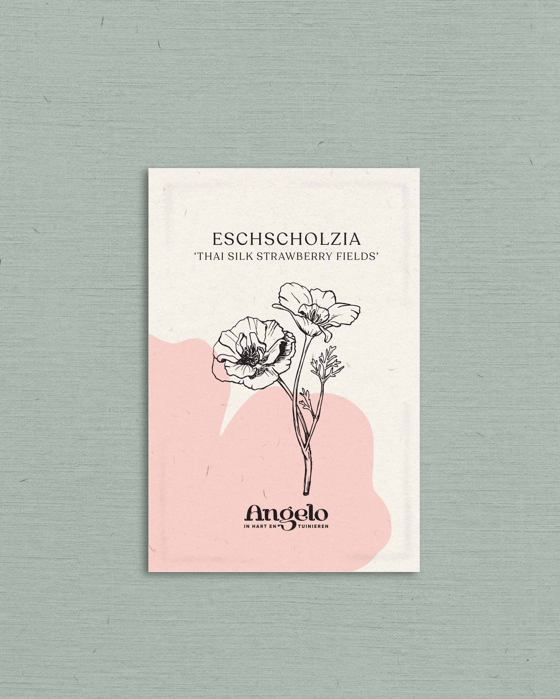 Miniatuur 2