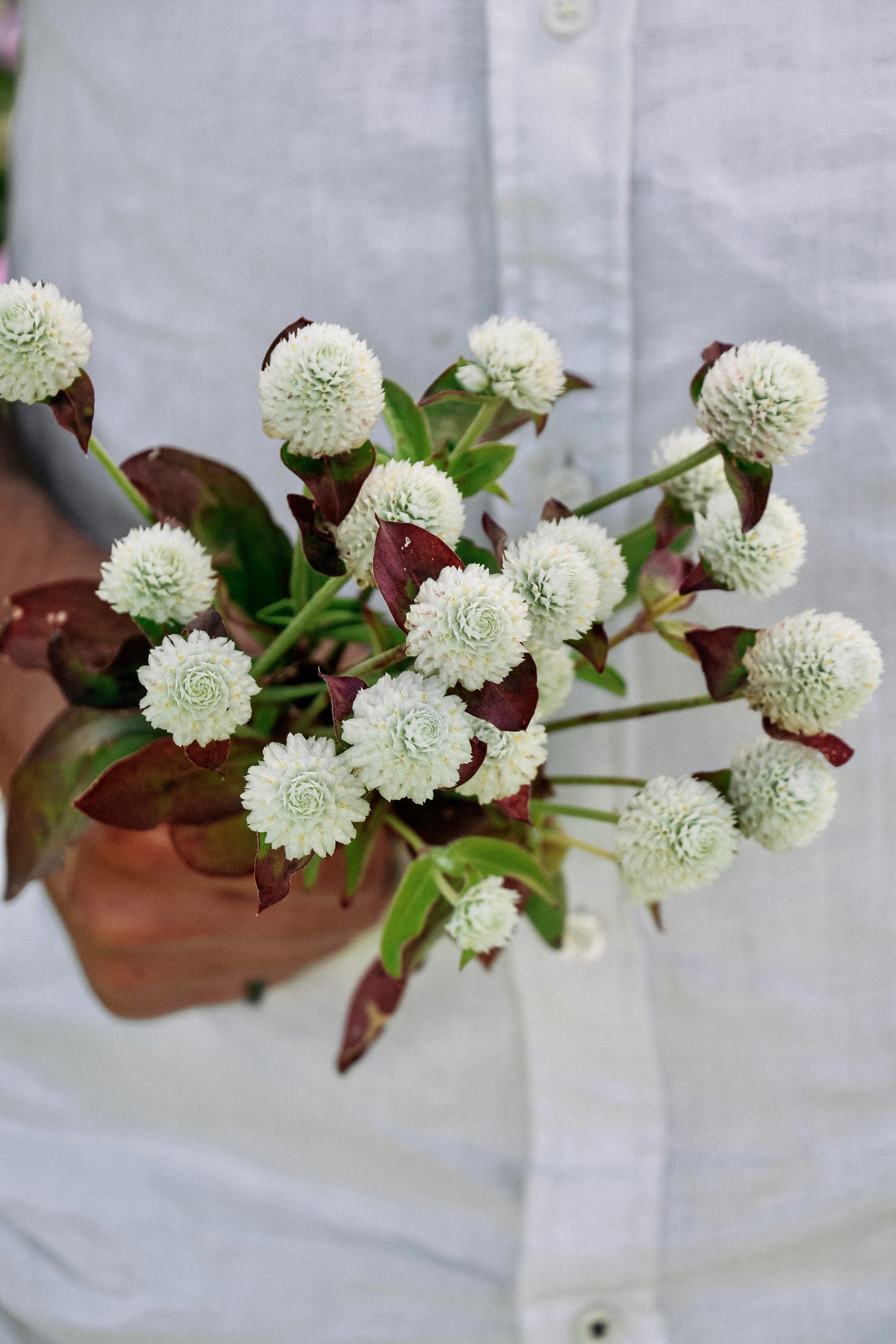 Miniatuur 3