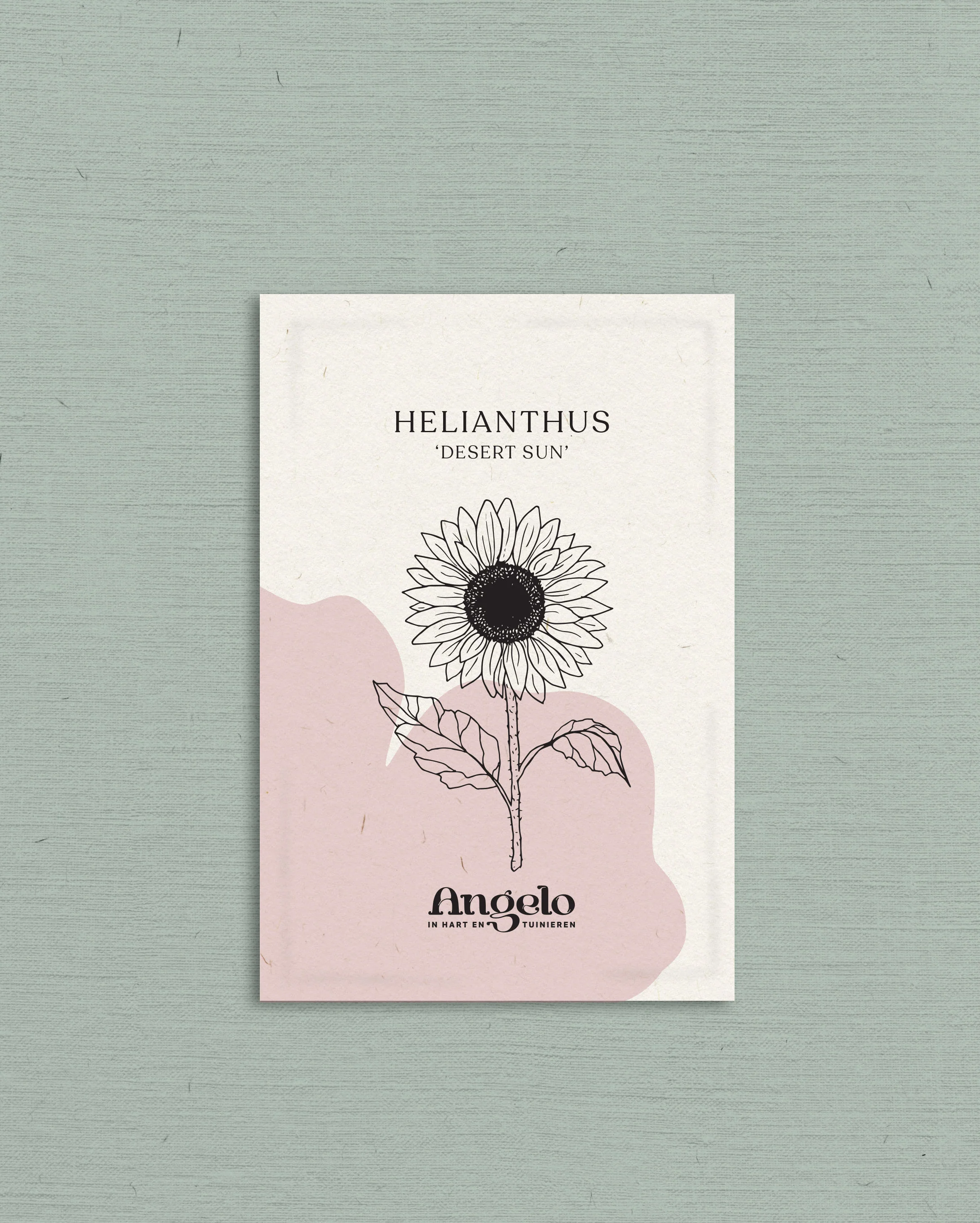 Miniatuur 2