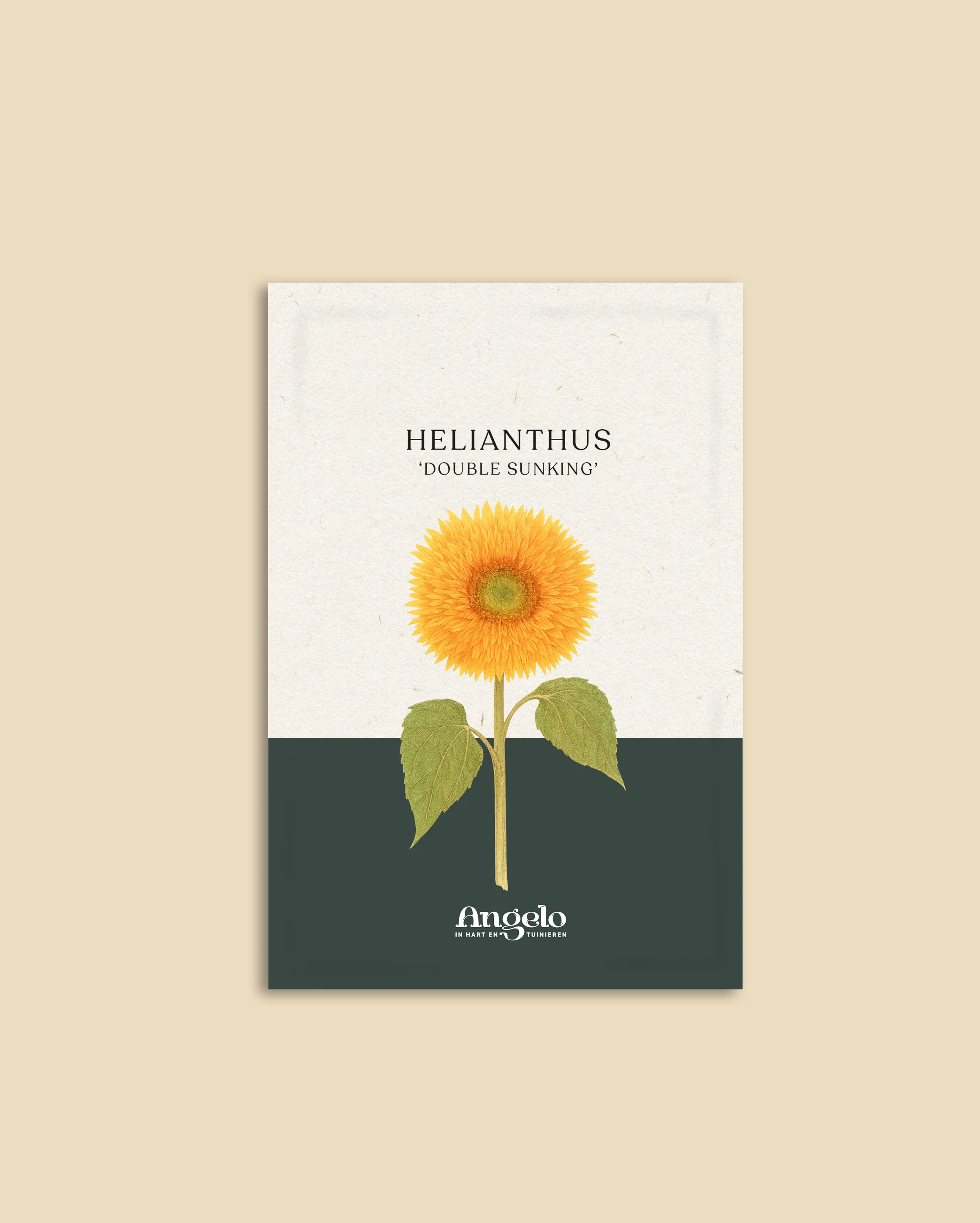 Miniatuur 2