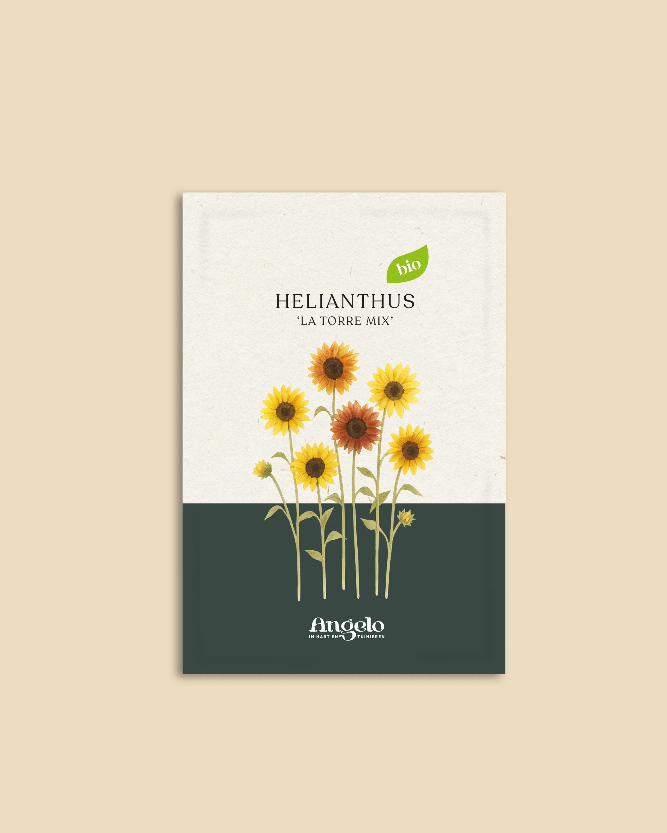 Miniatuur 2
