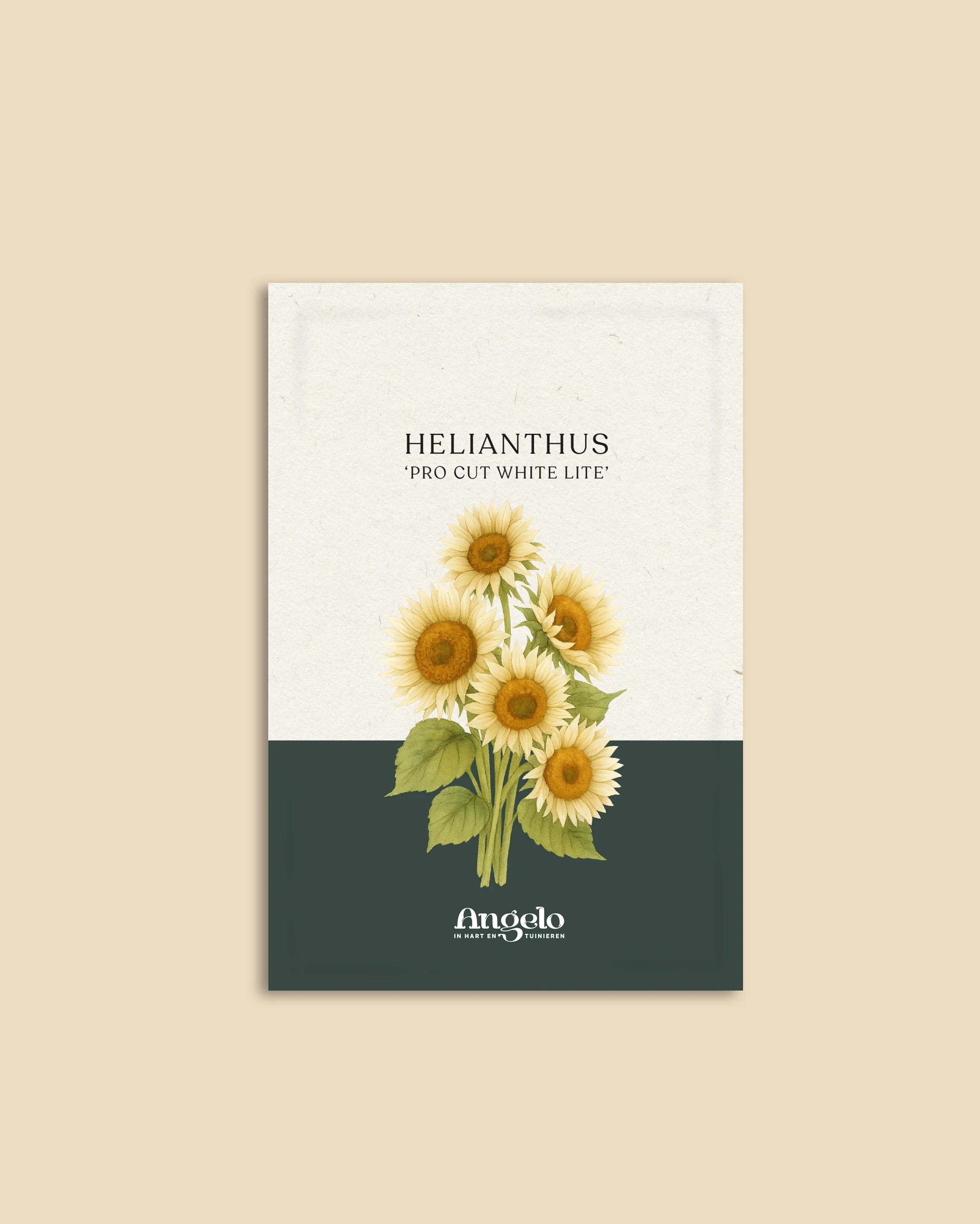 Miniatuur 2