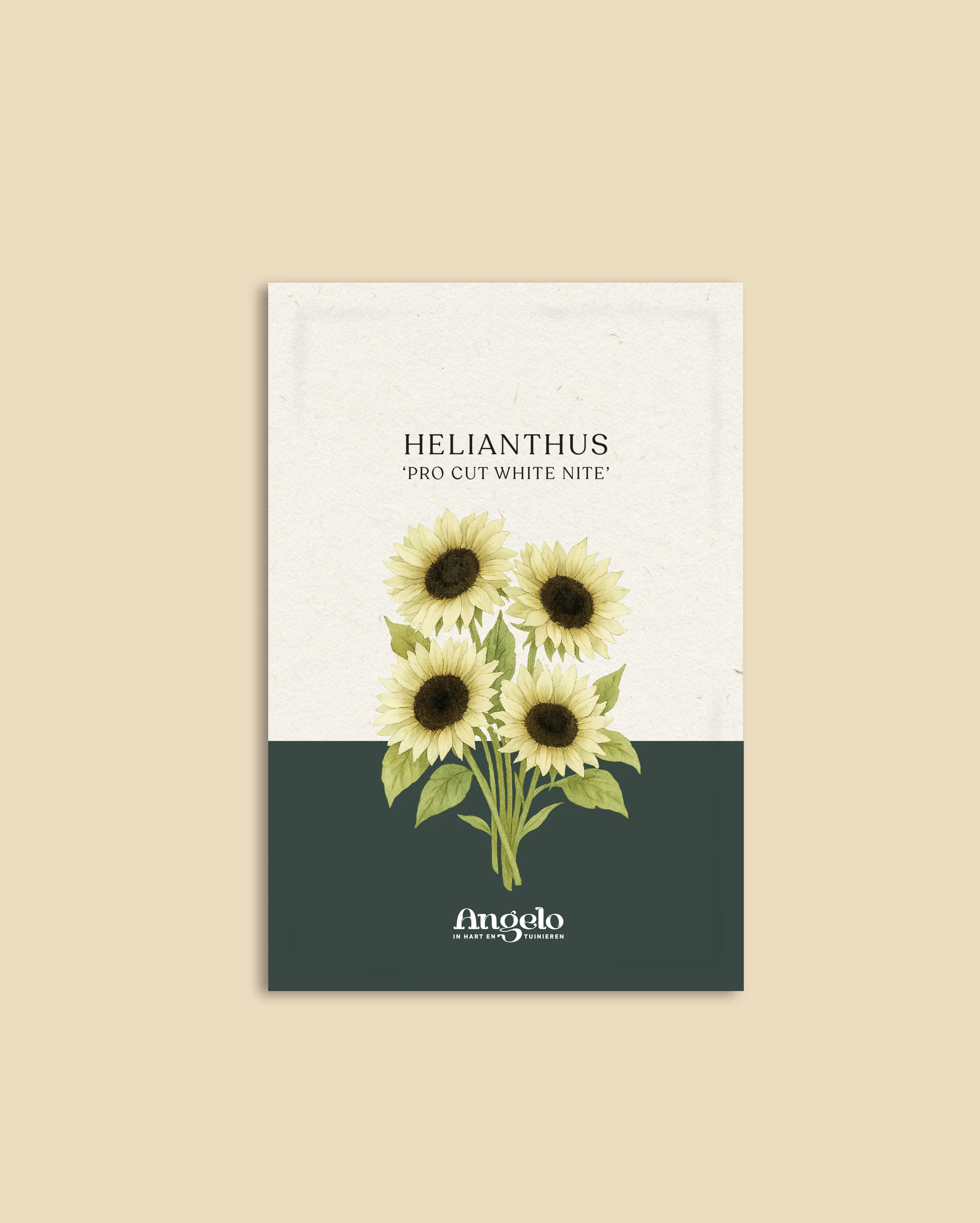 Miniatuur 2