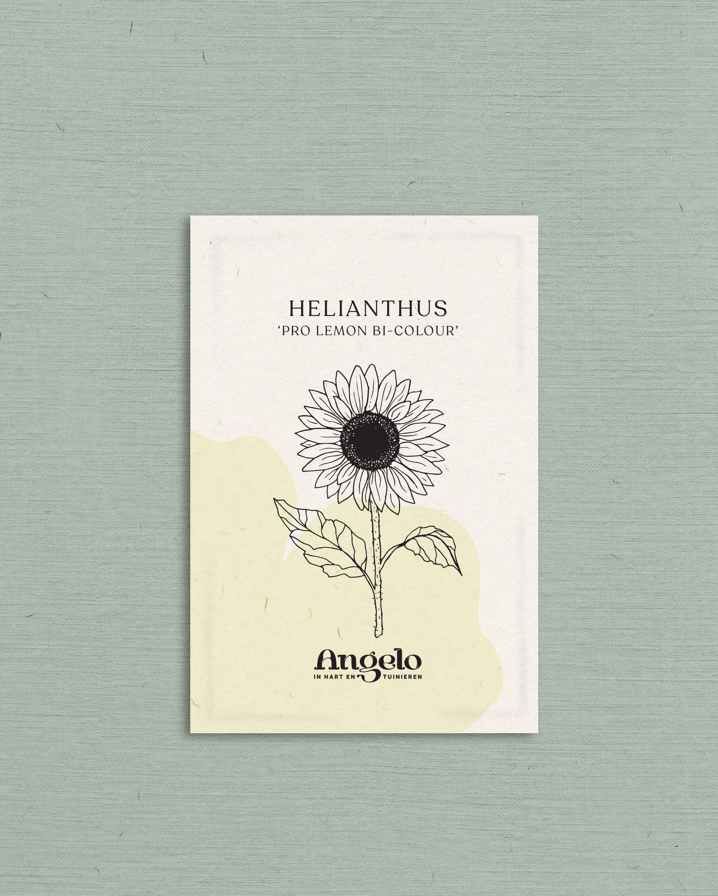 Miniatuur 2