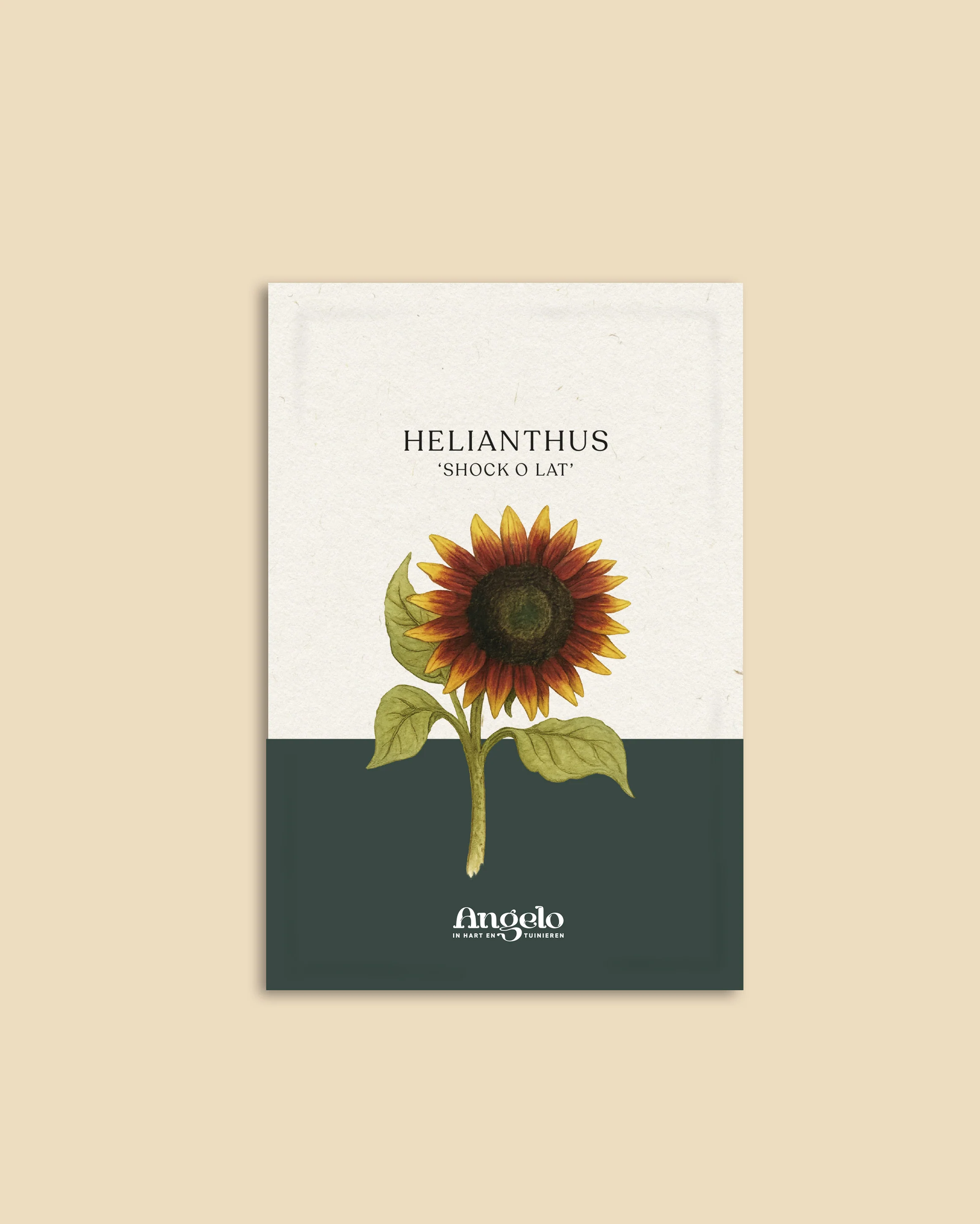 Miniatuur 2
