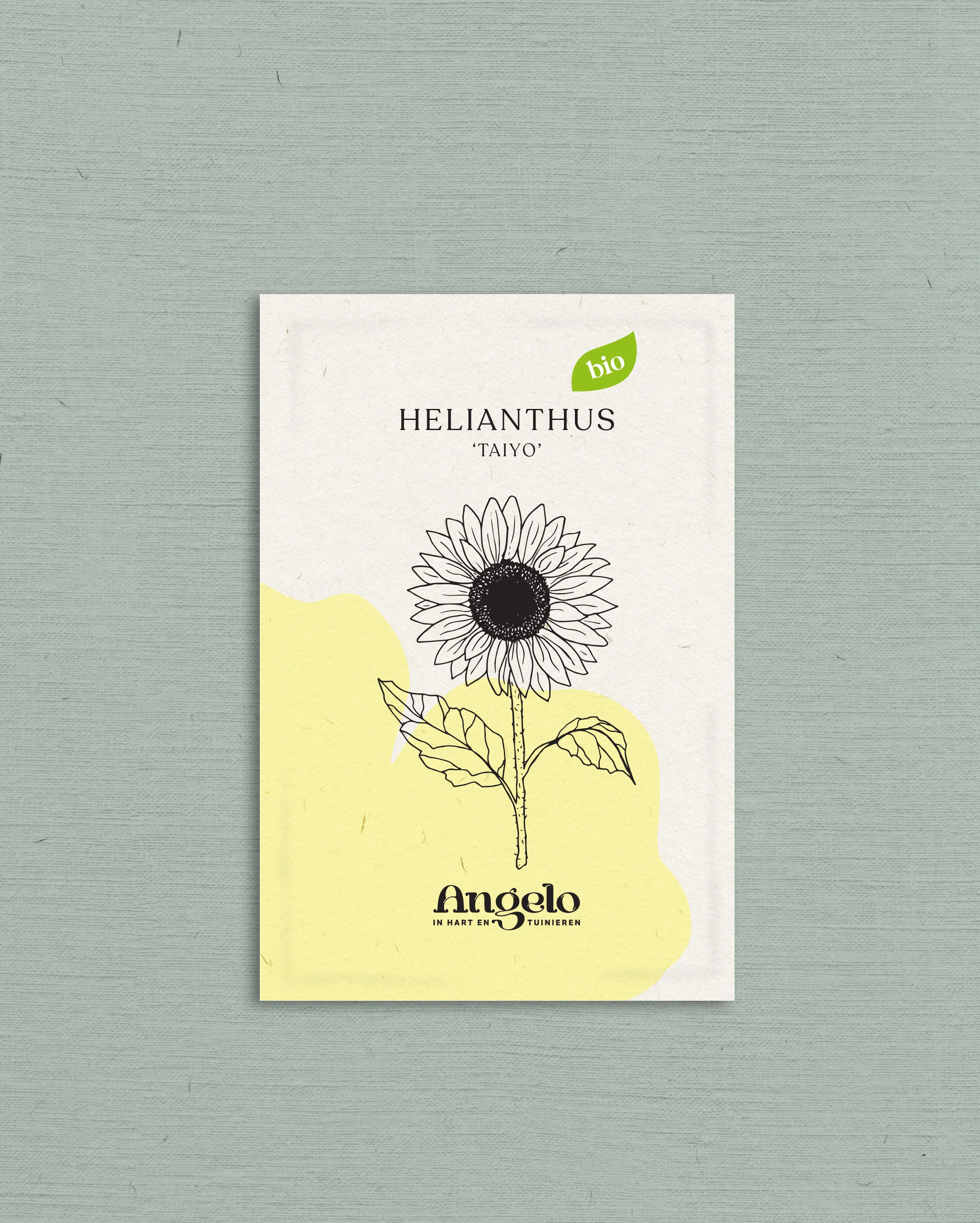 Miniatuur 2