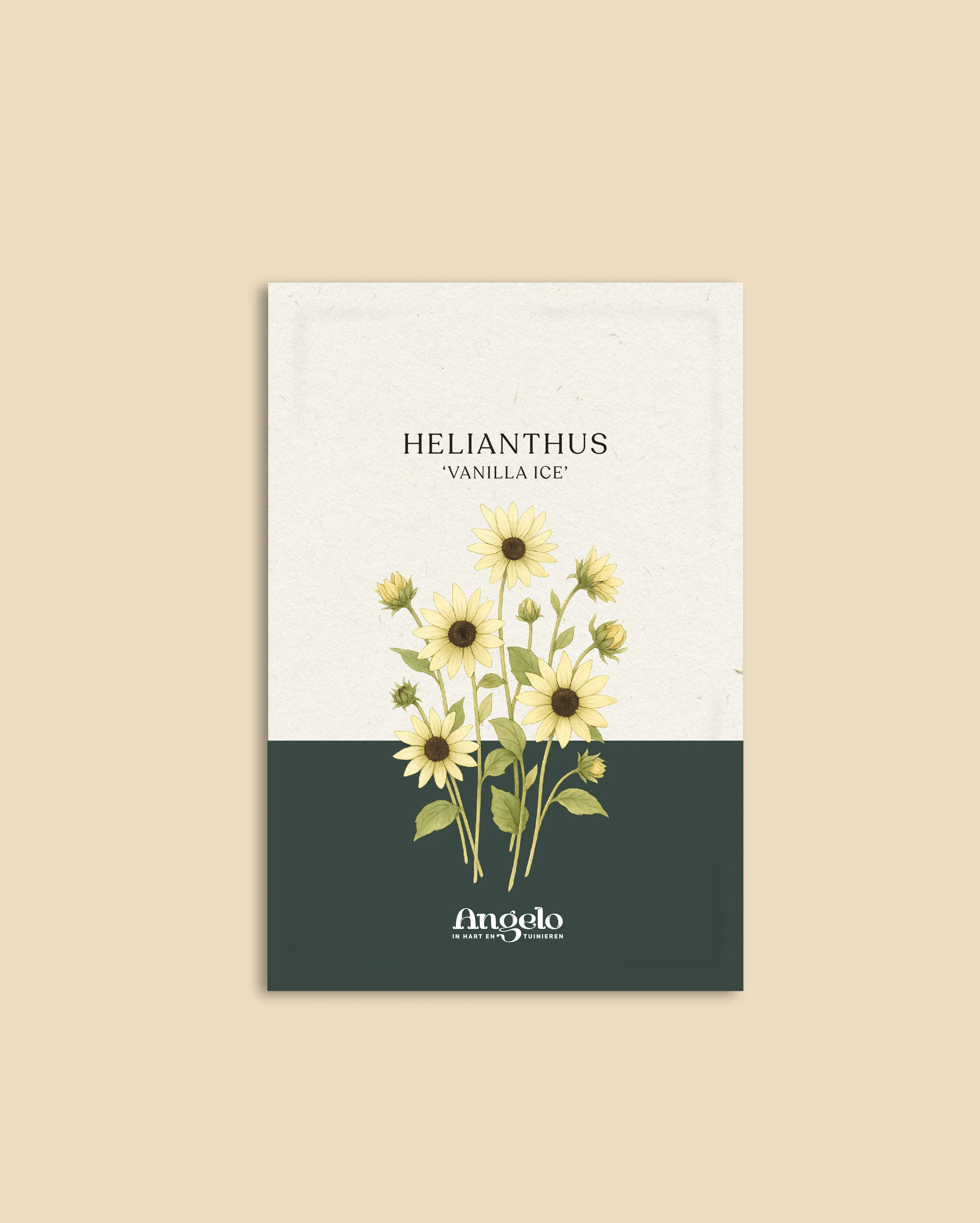 Miniatuur 2