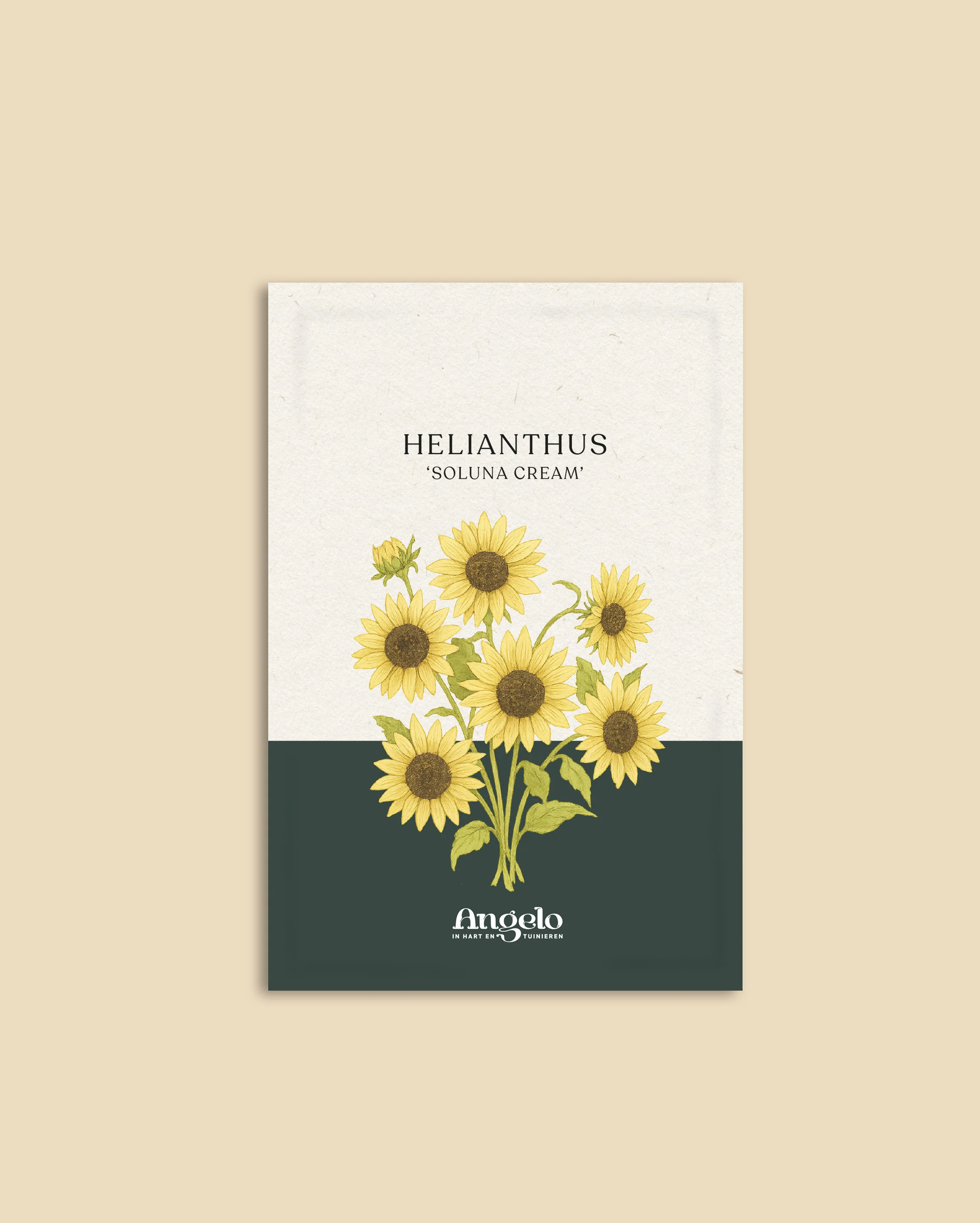 Miniatuur 2