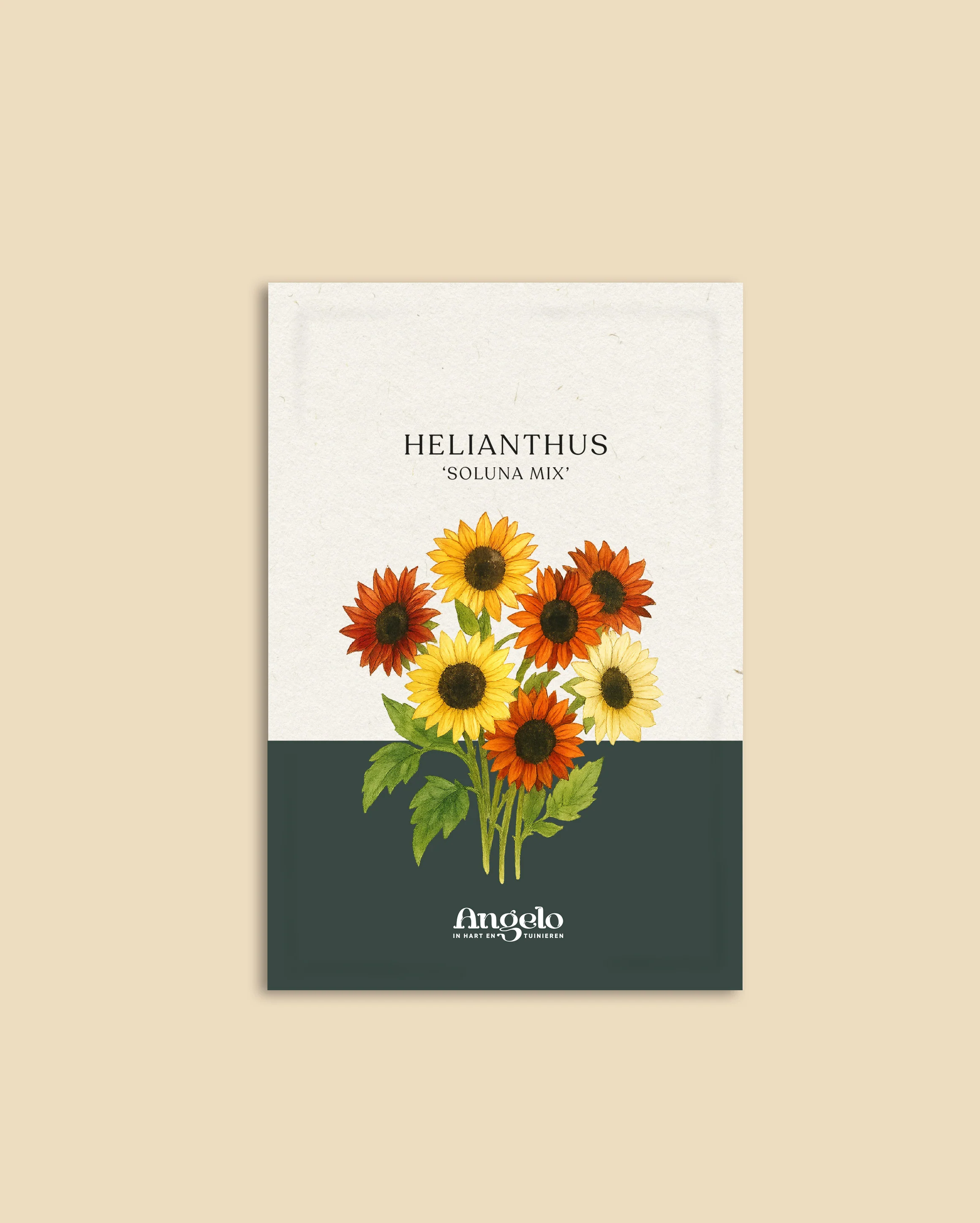 Miniatuur 2
