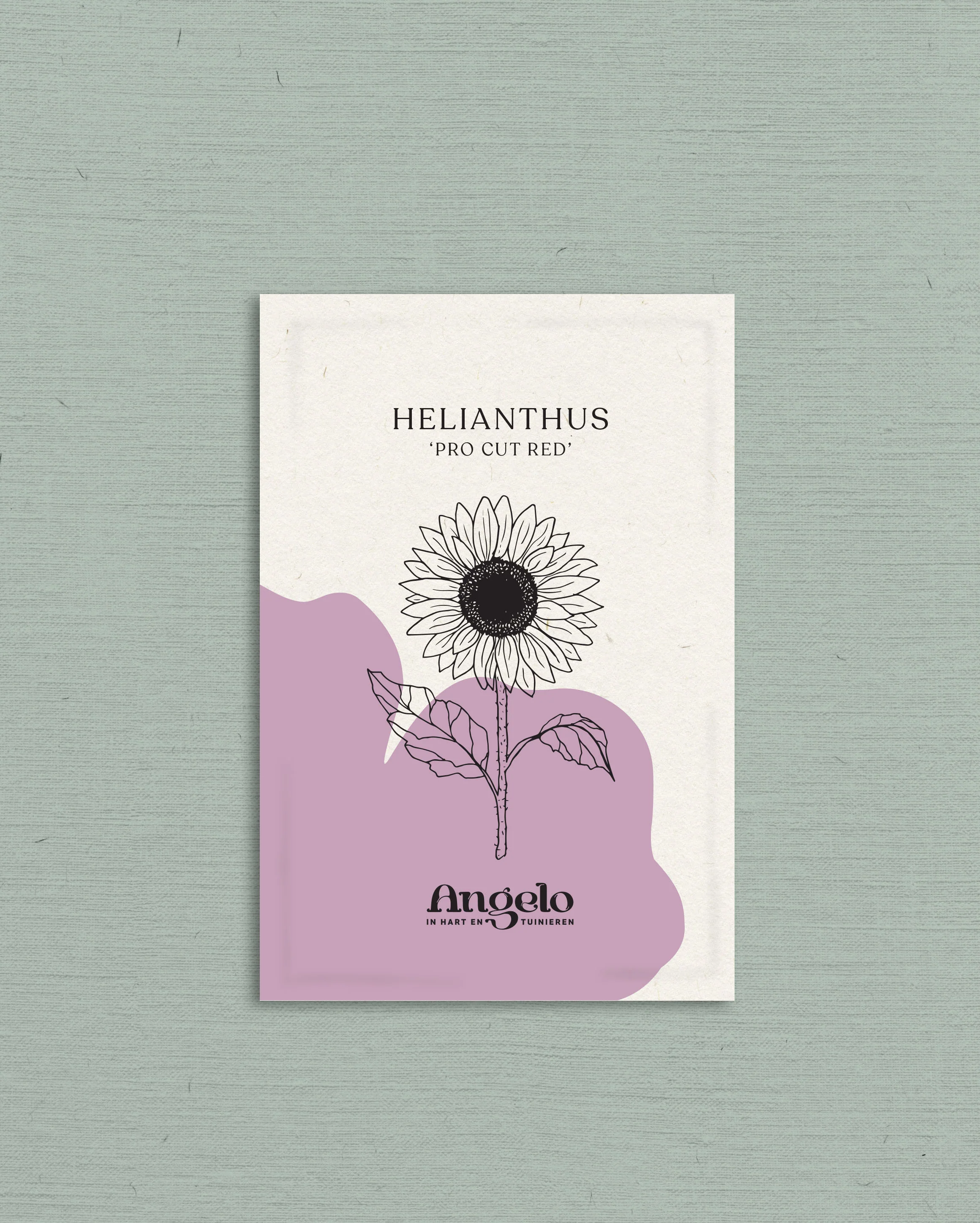 Miniatuur 2