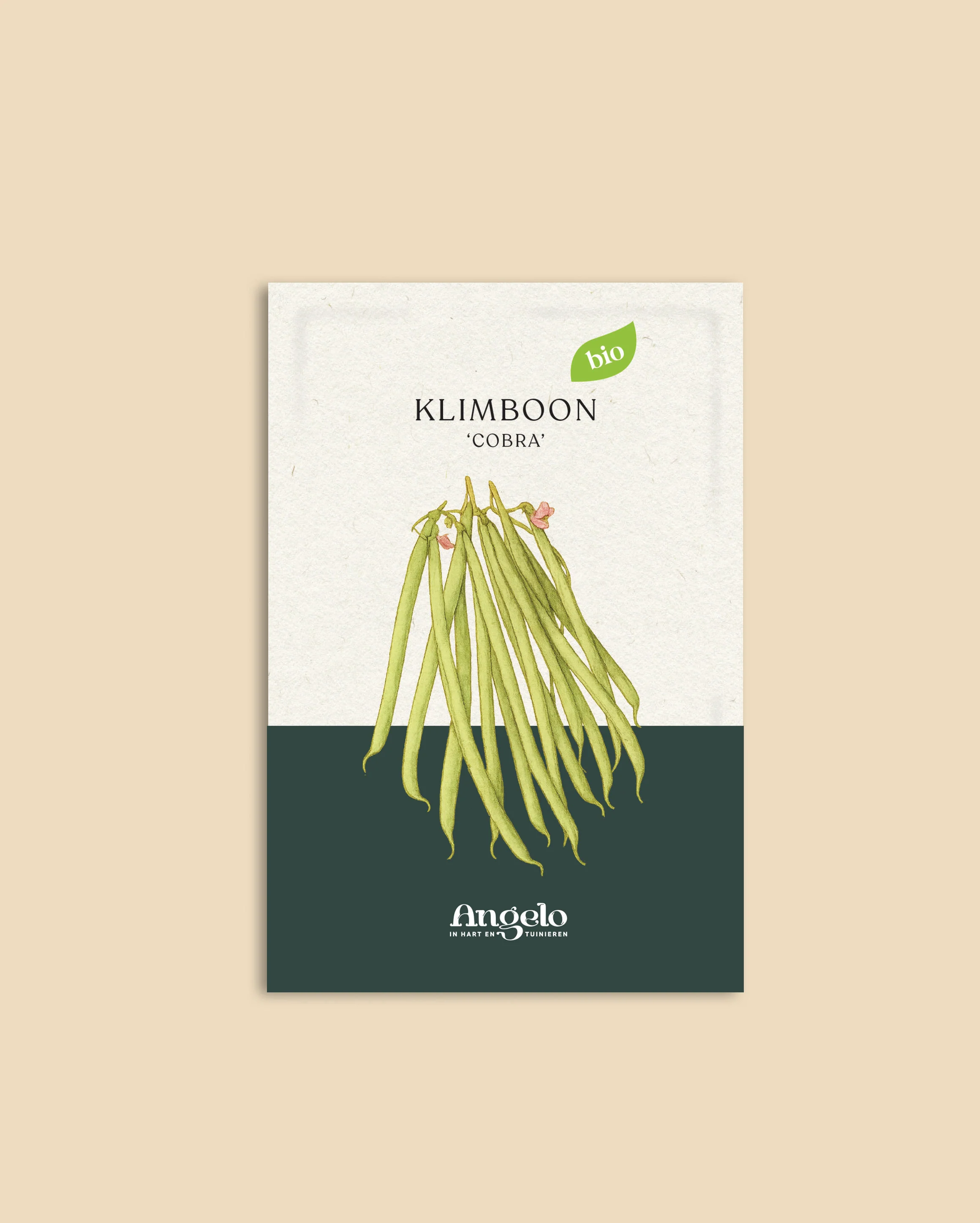 Miniatuur 2