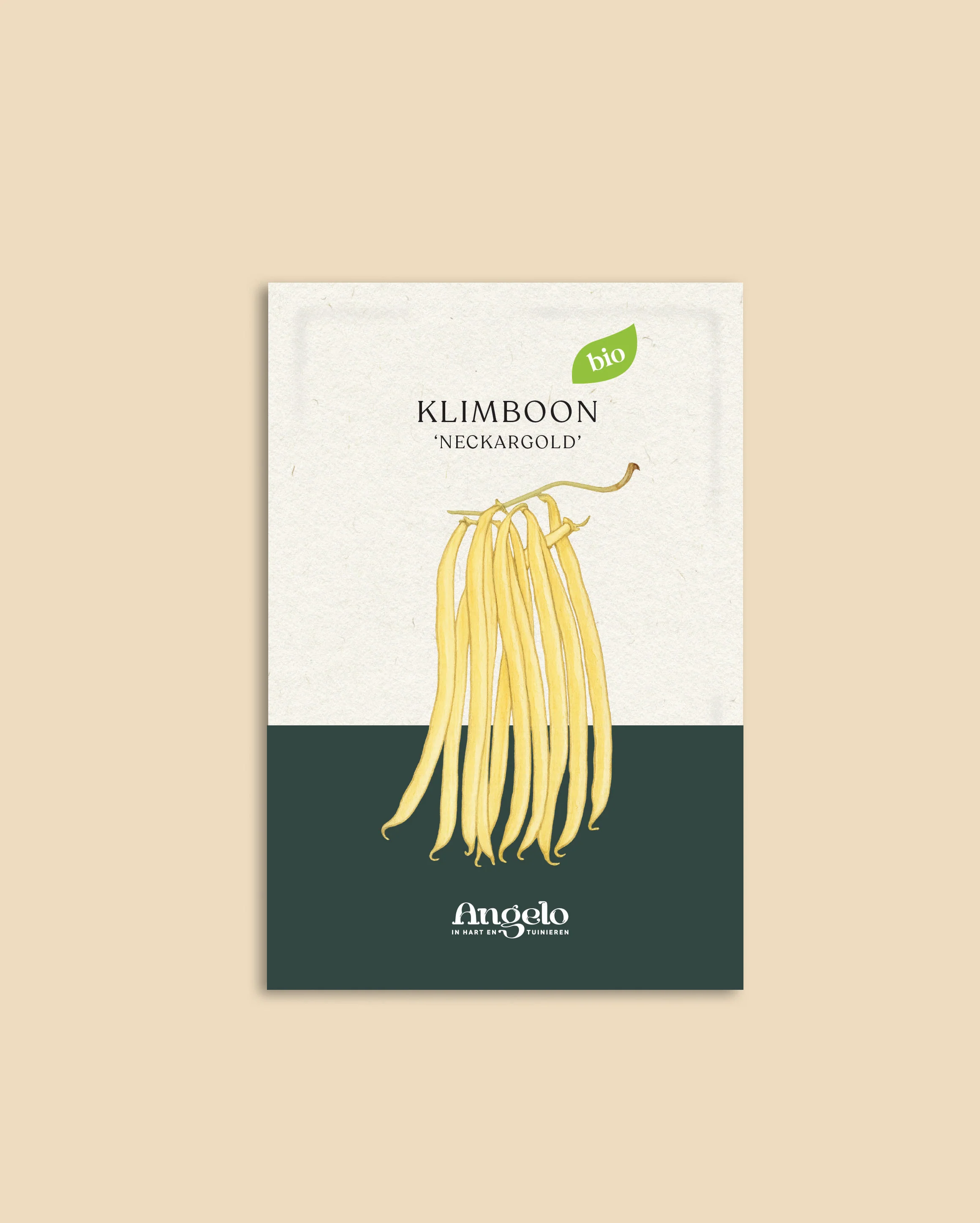 Miniatuur 2