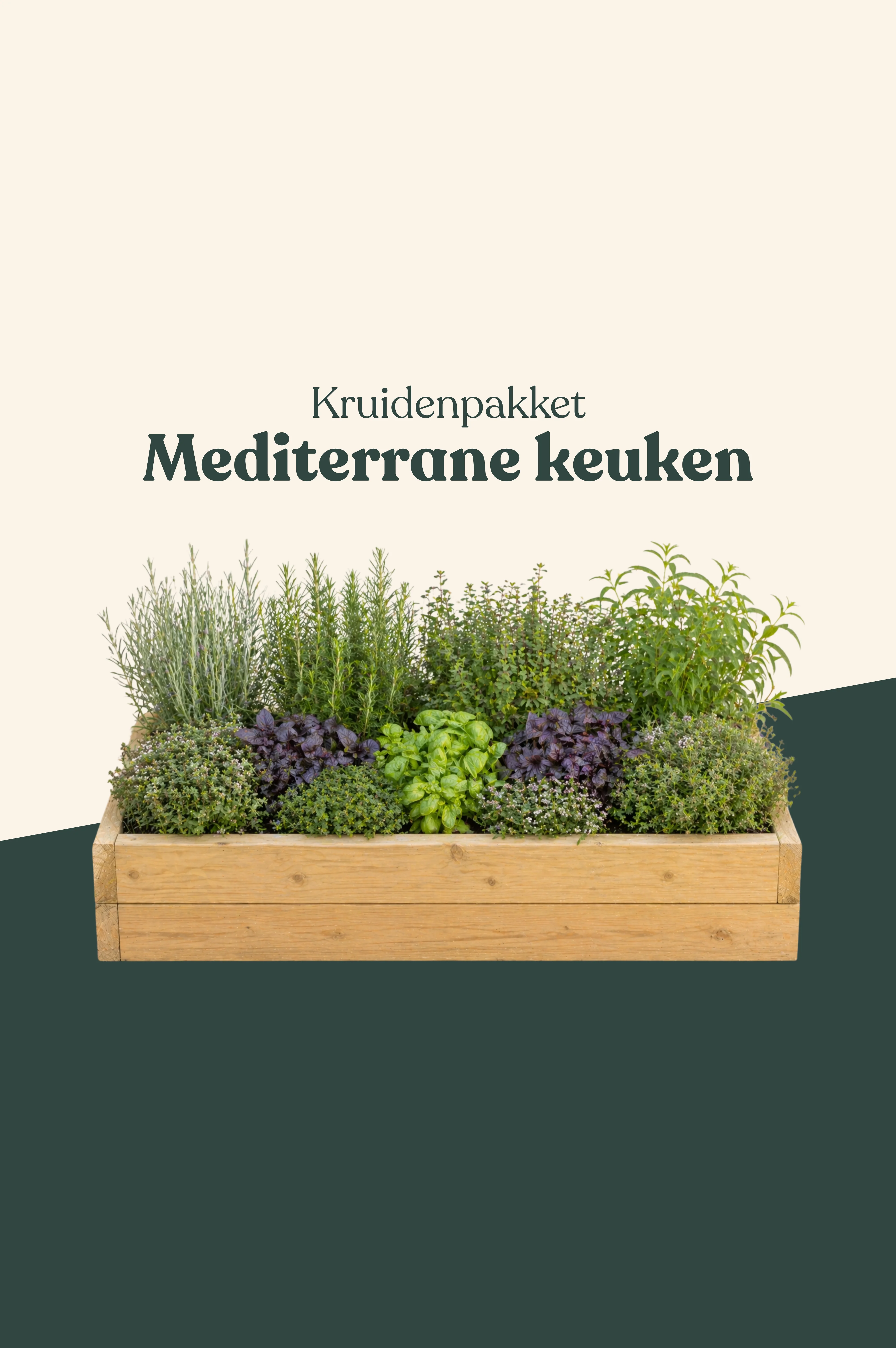 Productafbeelding 1
