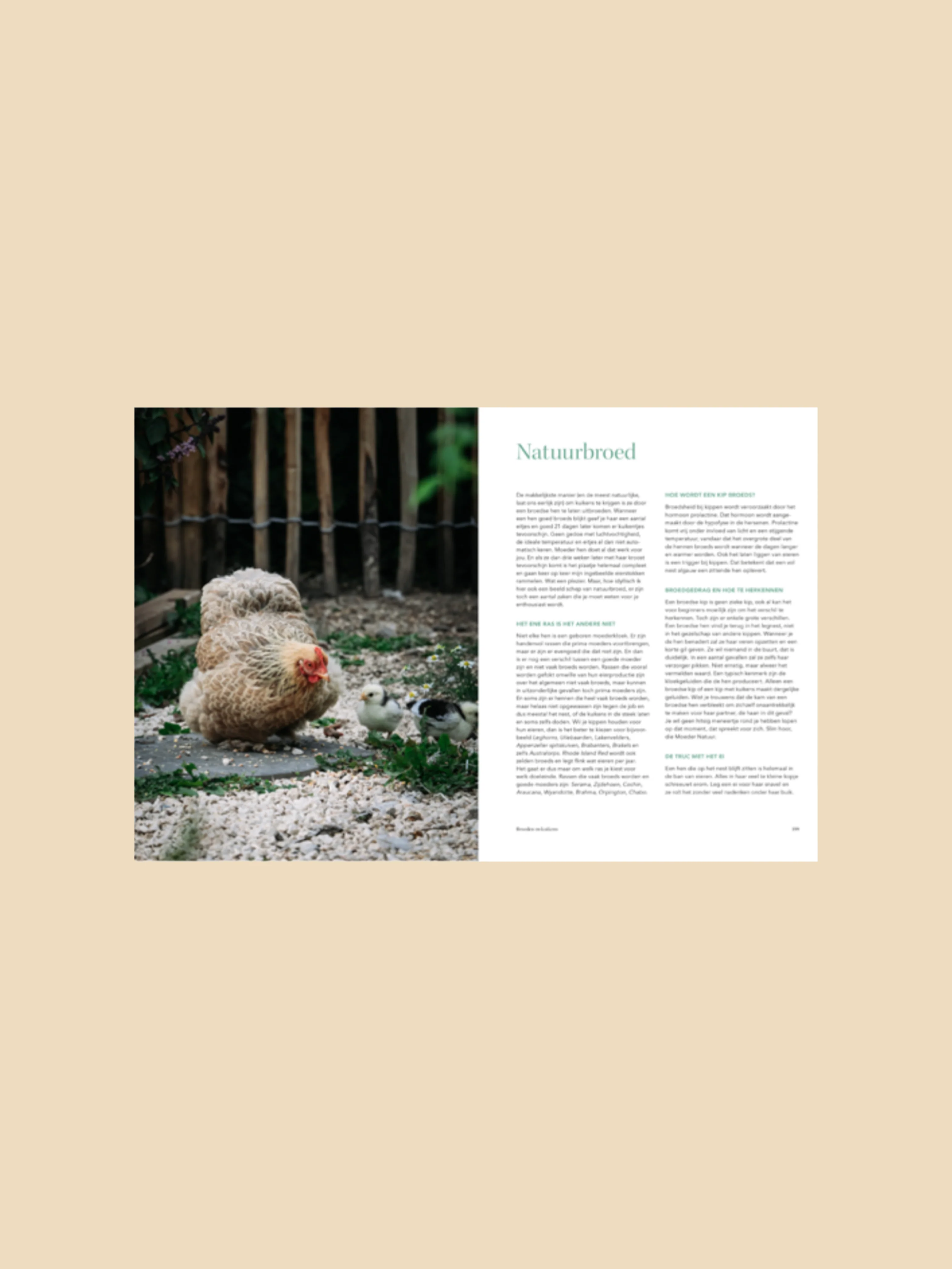 Miniatuur 3